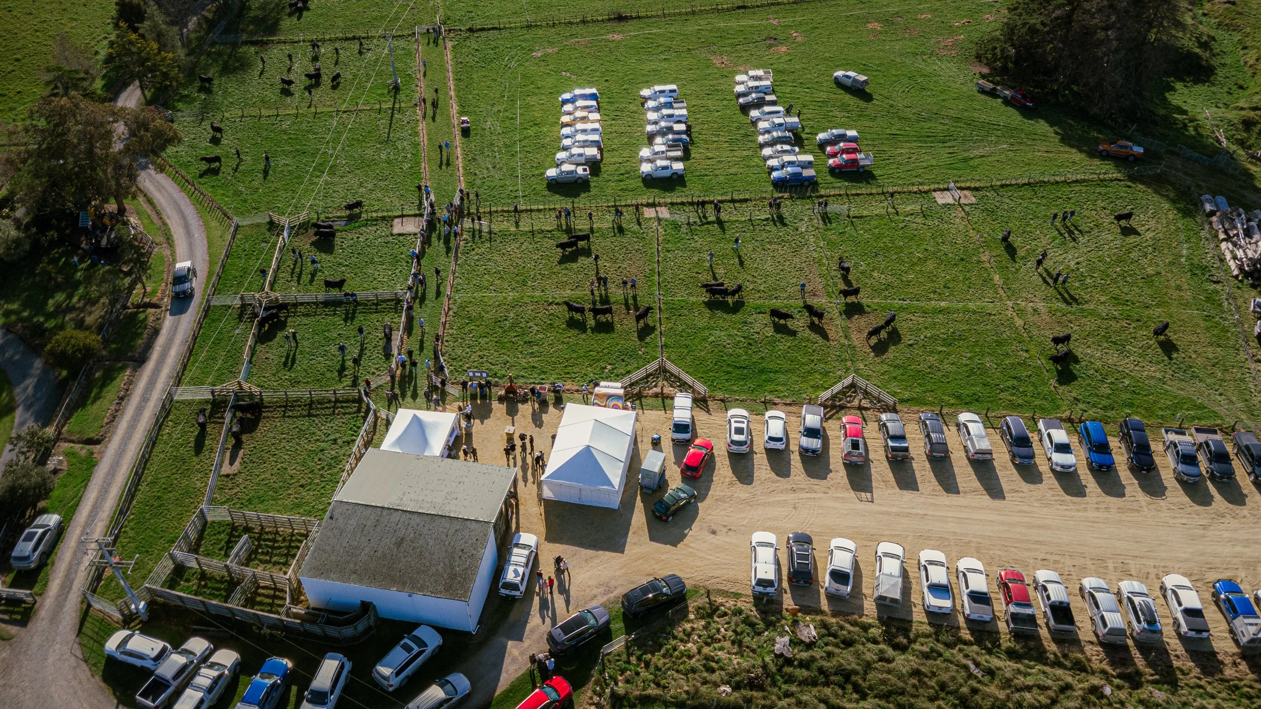 DJI_0324.jpg