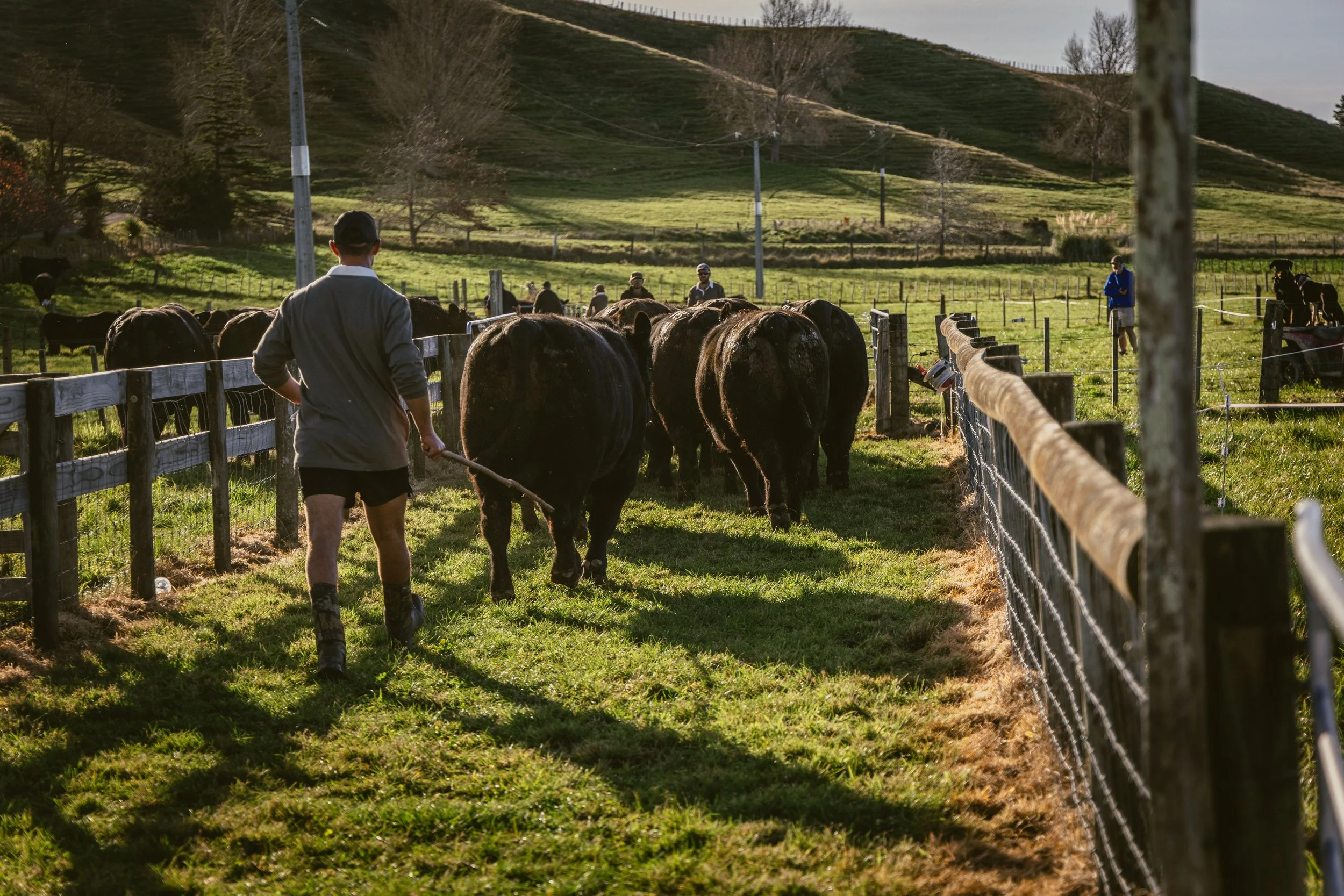 0U2A4099.jpg