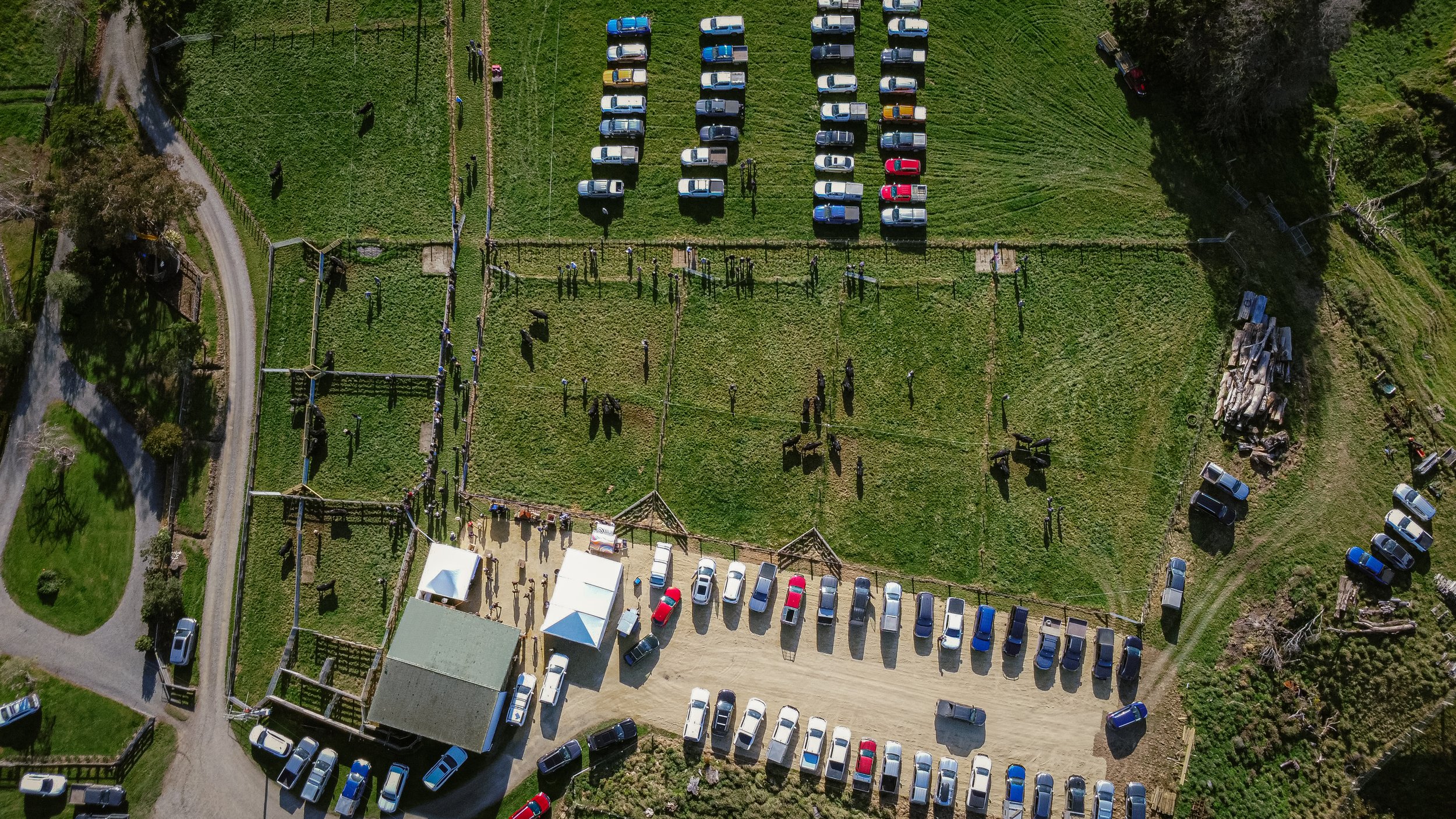 DJI_0331.jpg