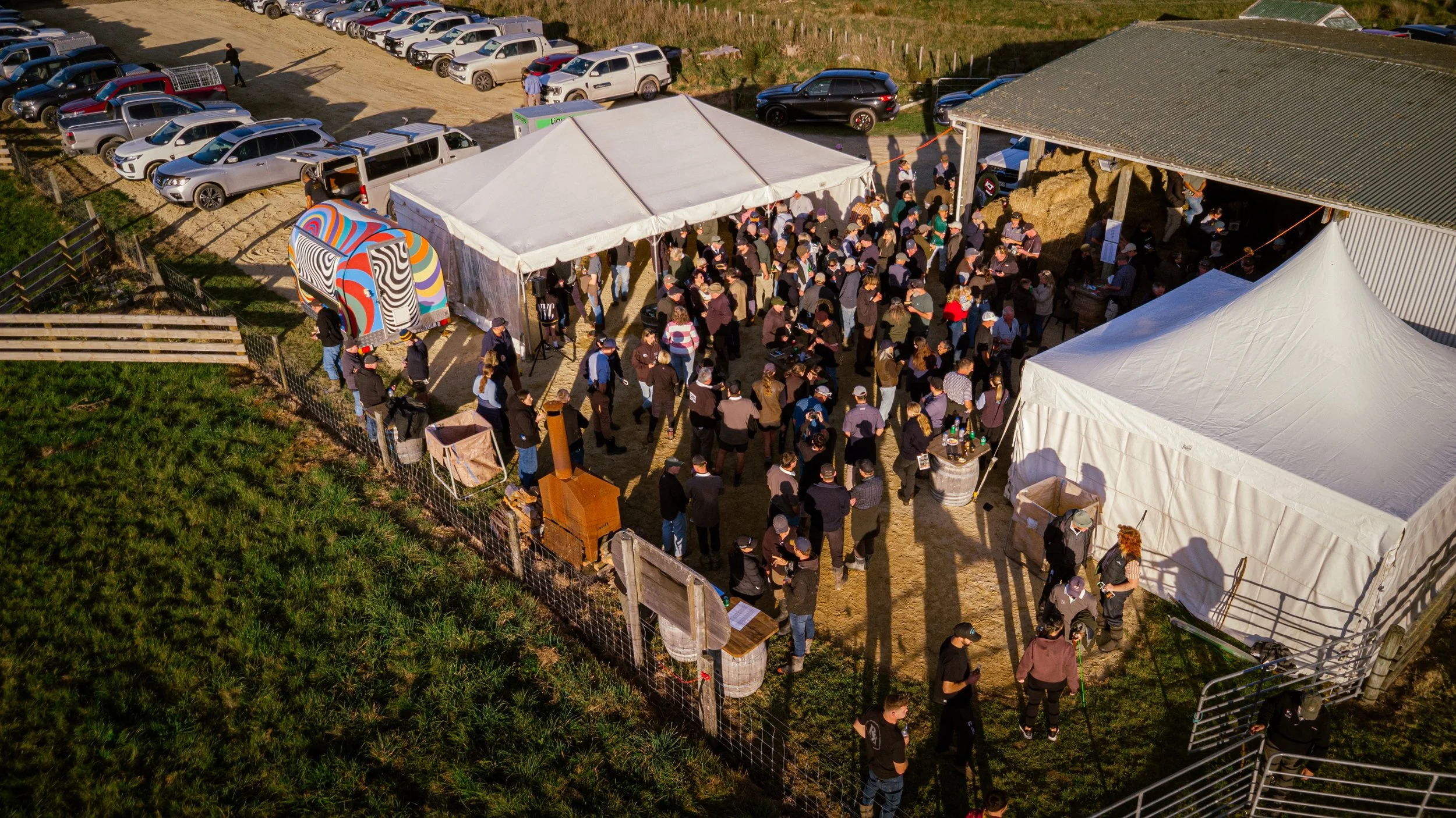 DJI_0369.jpg