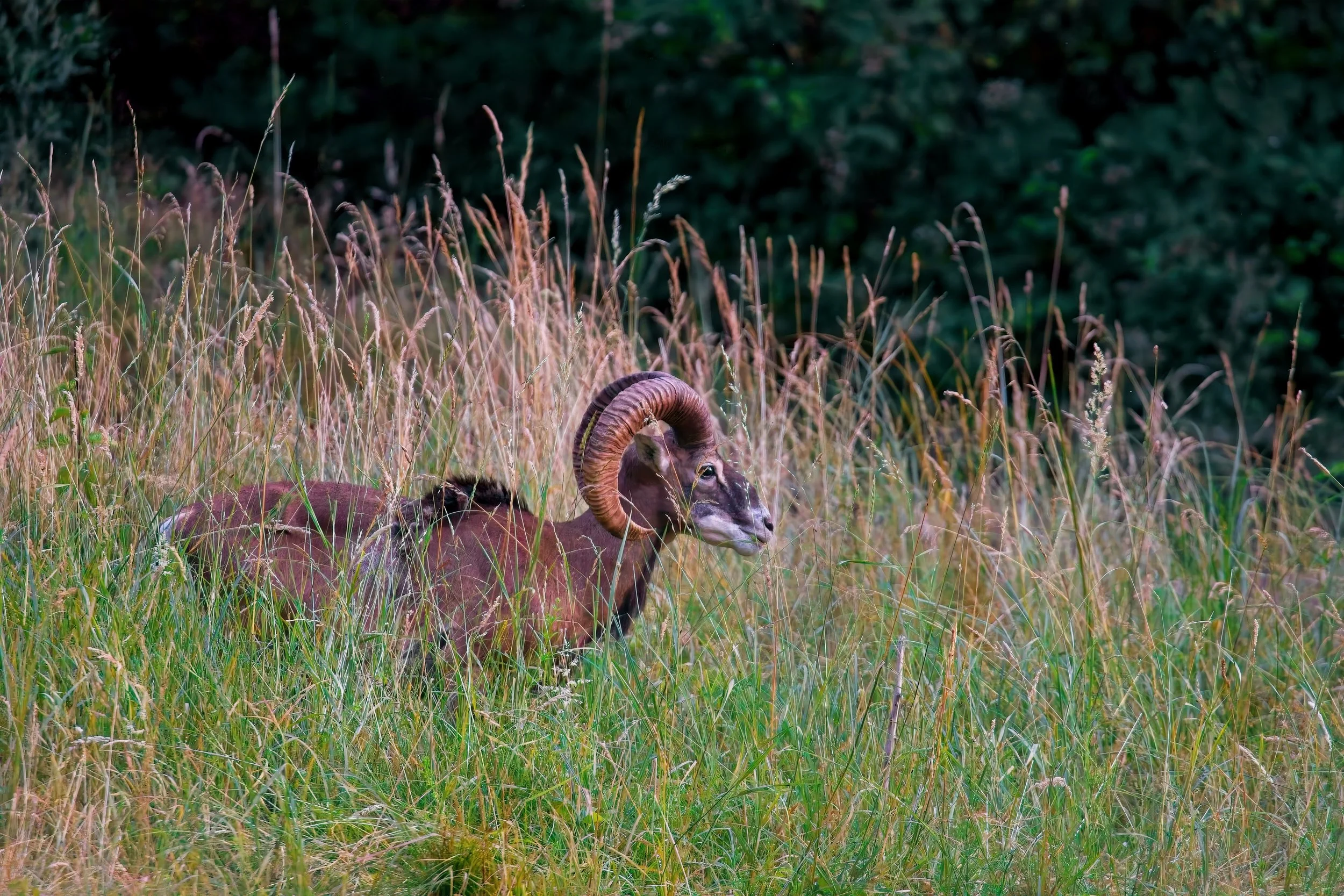 IMG_5870aa copyforweb.jpg