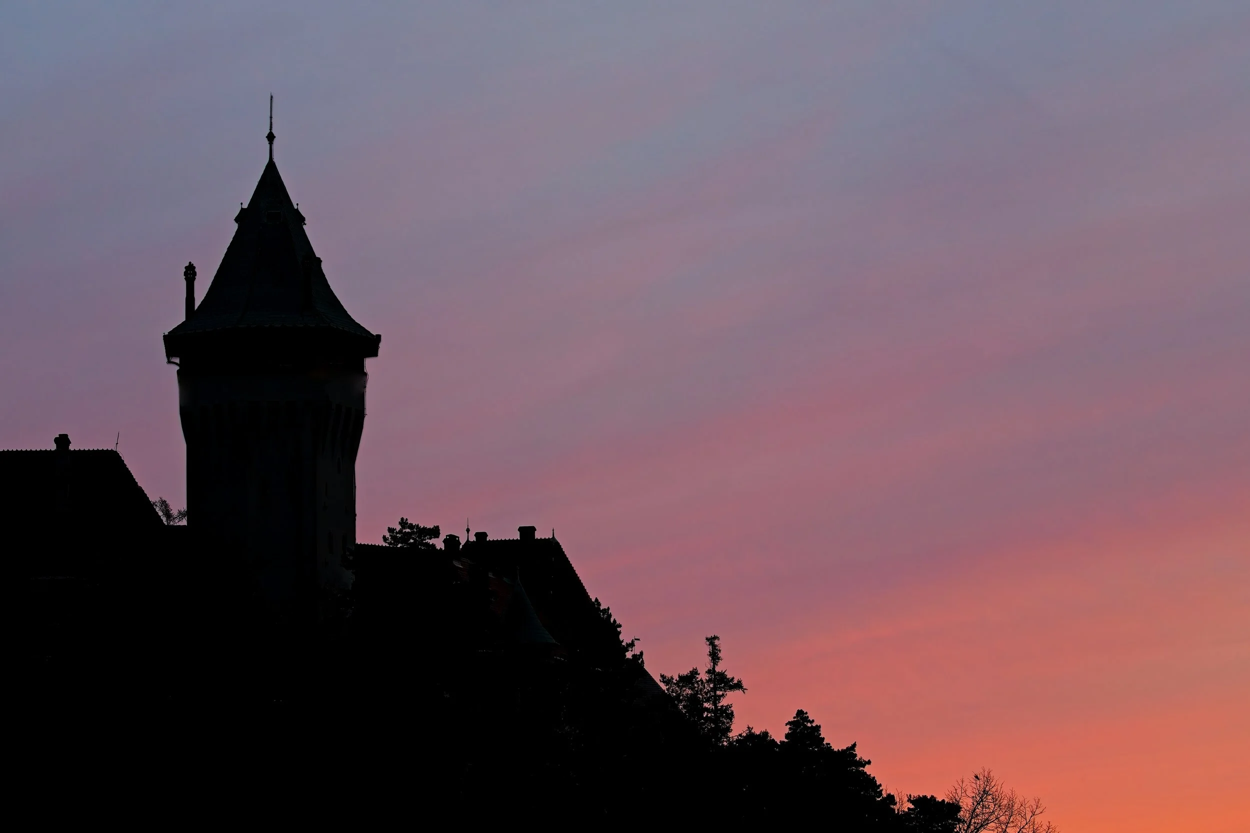 IMG_6367aa.jpg
