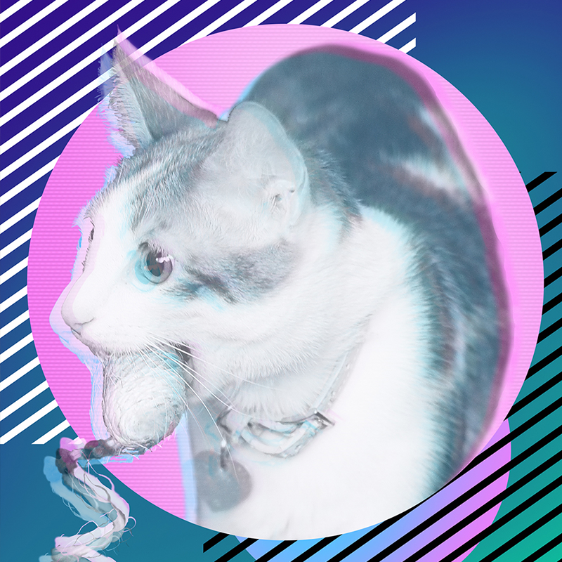 Vaporwave Cat