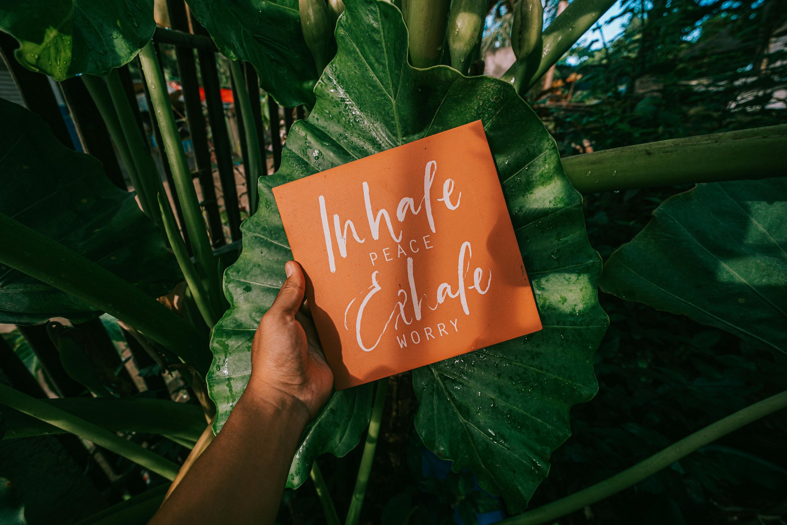 a person sharing a positive expression to inhale peace and exhale worry