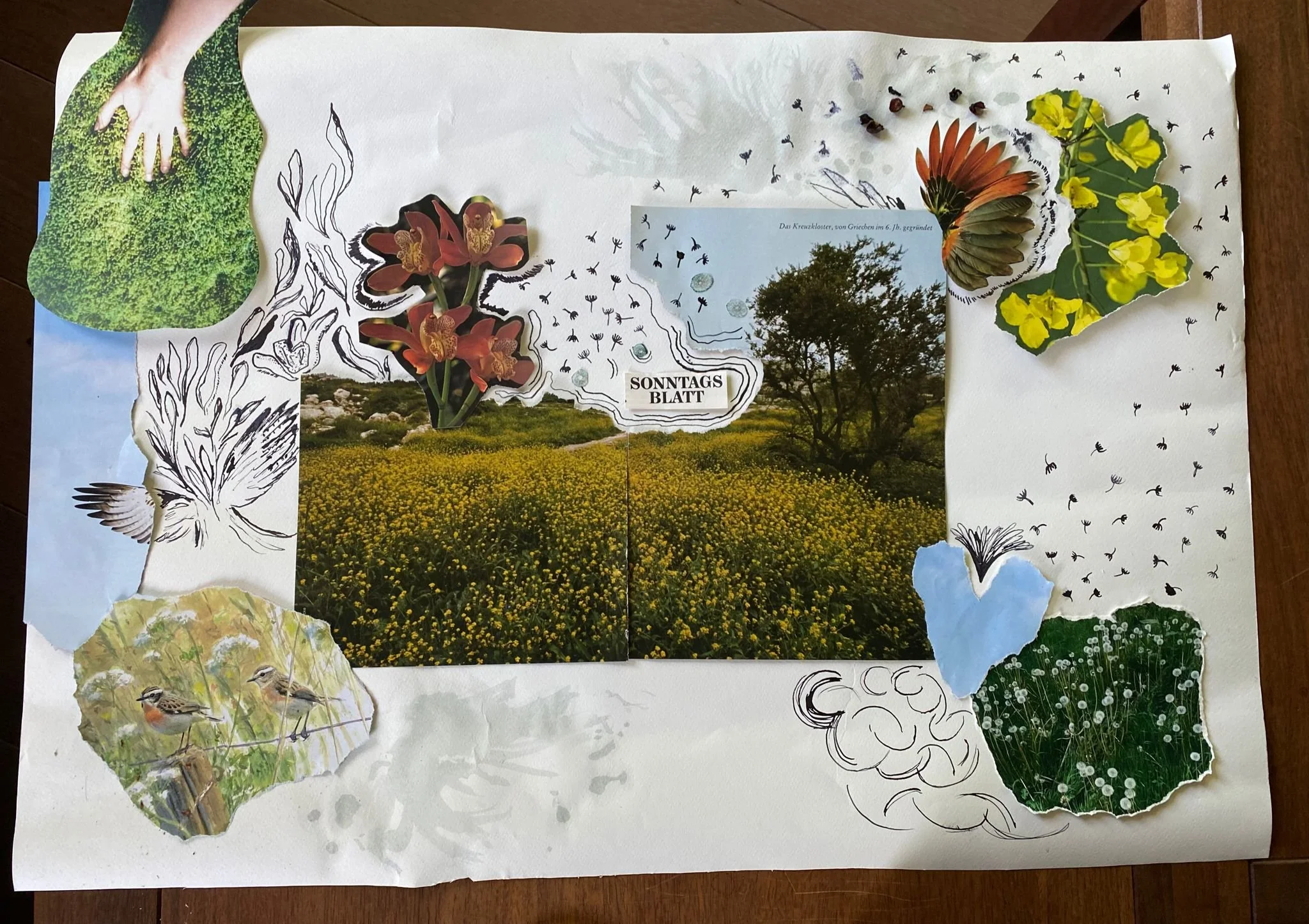 Nature Speaks 3 - Lian.jpeg