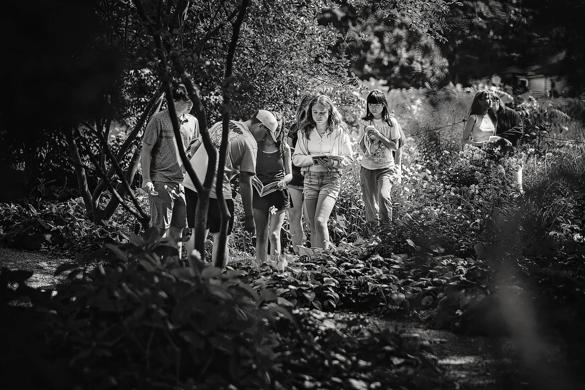 PJCxSF_Willows Preshow (2026.08.13) 207 BW.jpg