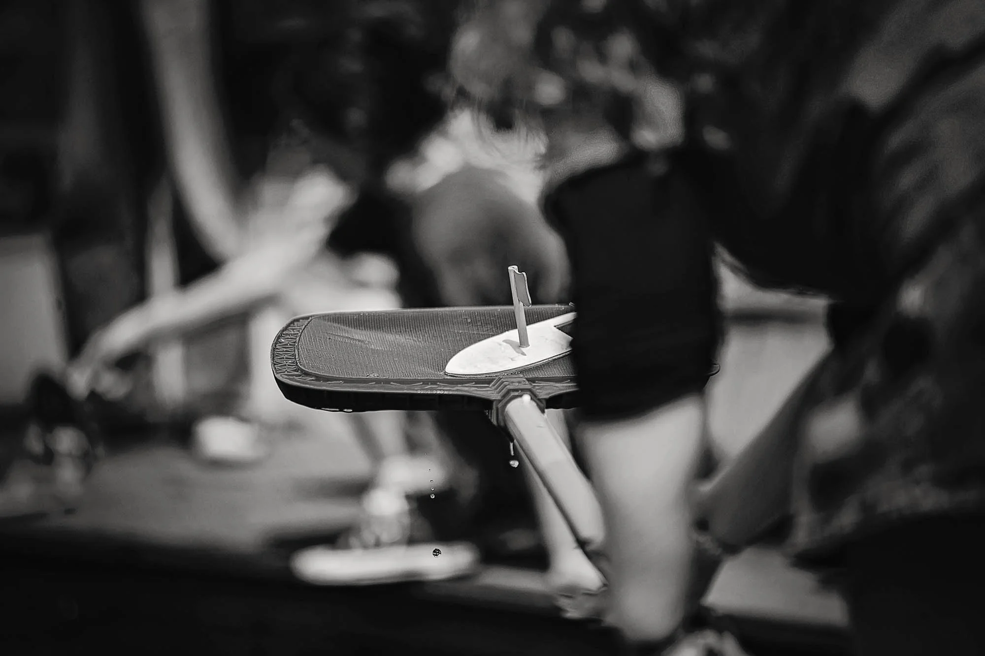 PJCxSF_Willows Preshow (2026.08.13) 99 BW.jpg