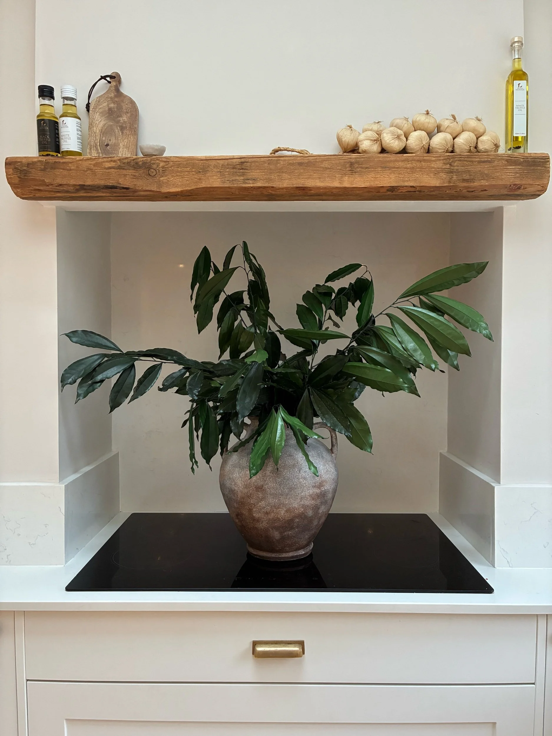 Preserved Green Cocculus