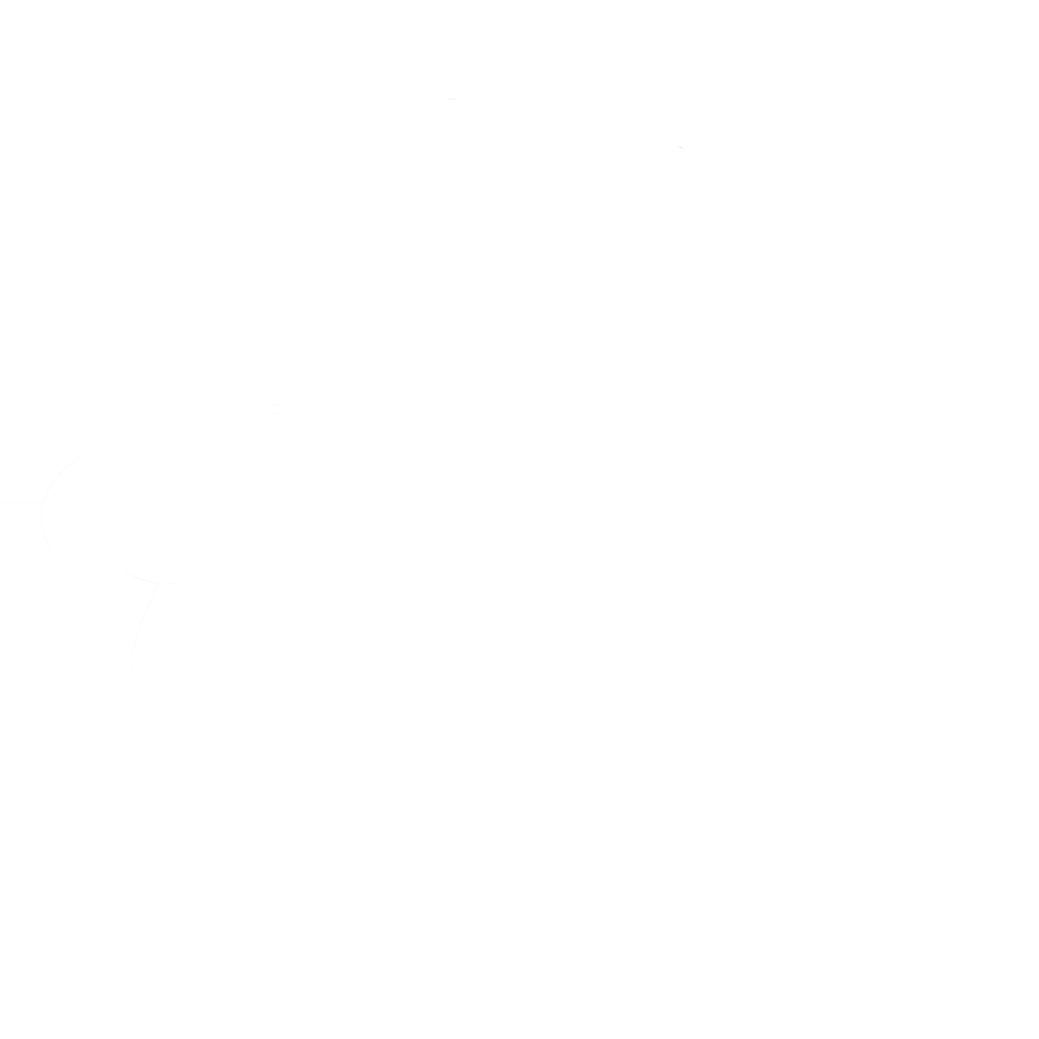 The Pampas Place UK