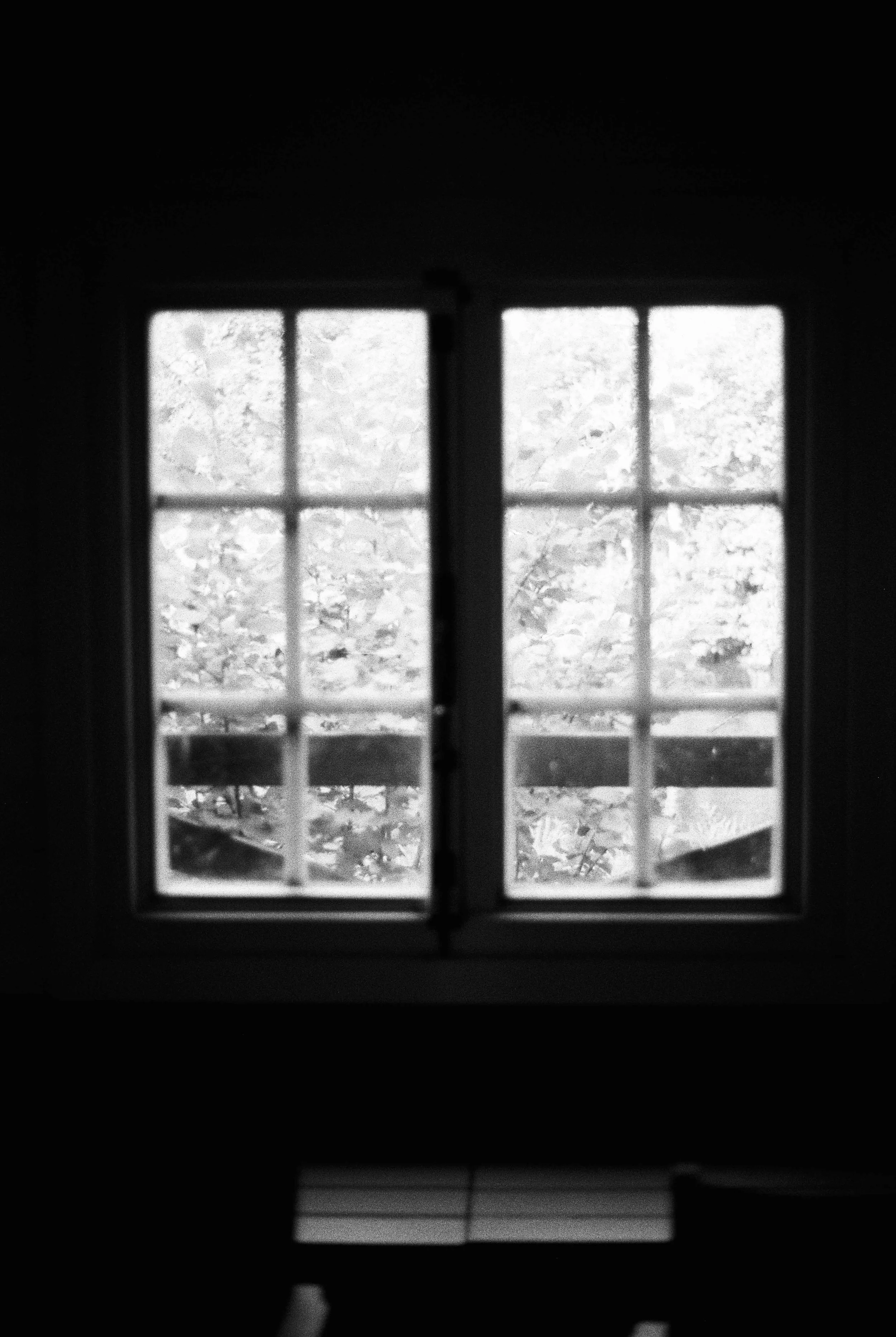 Lottie Hampson Image