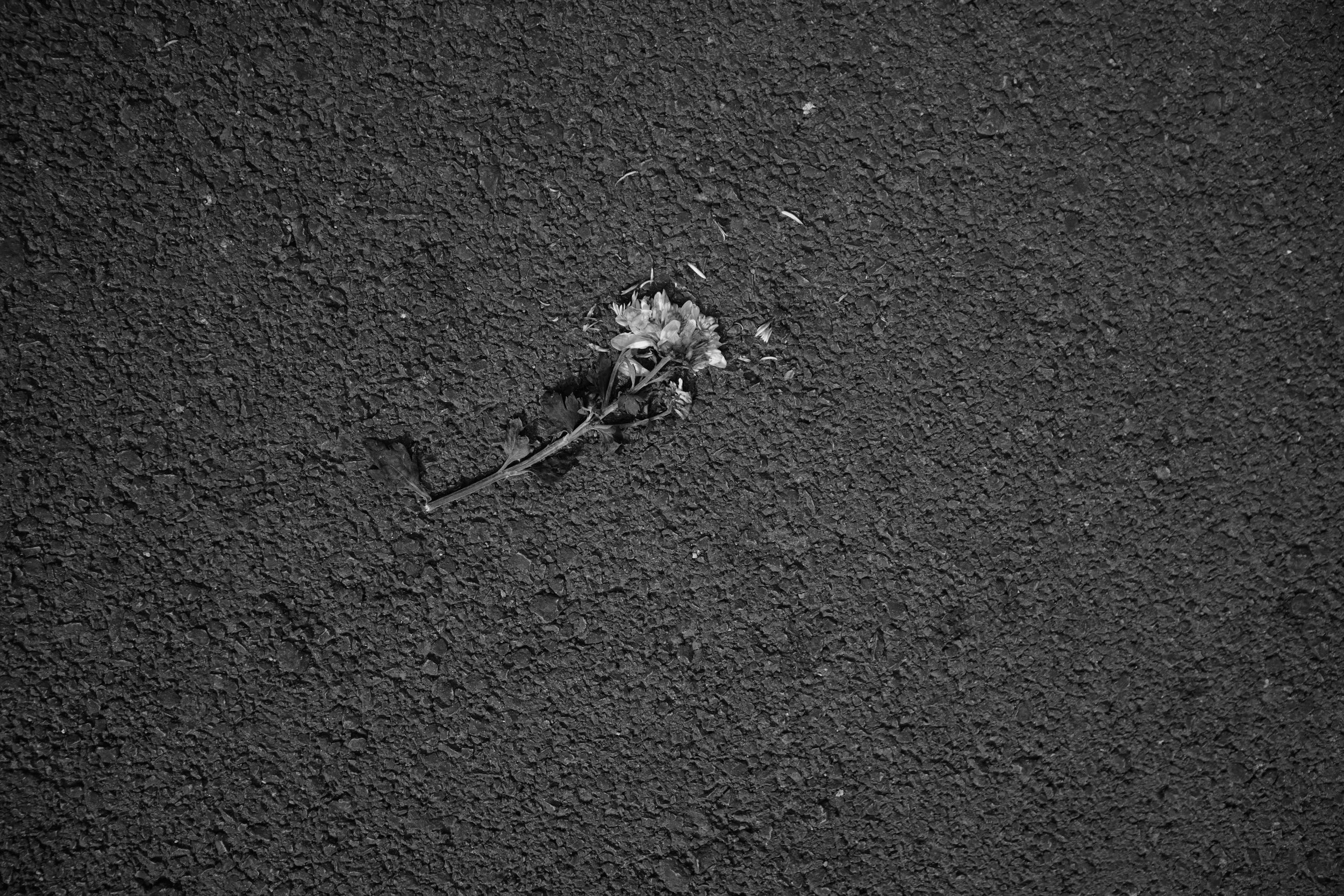 Image — Kim Verdebo