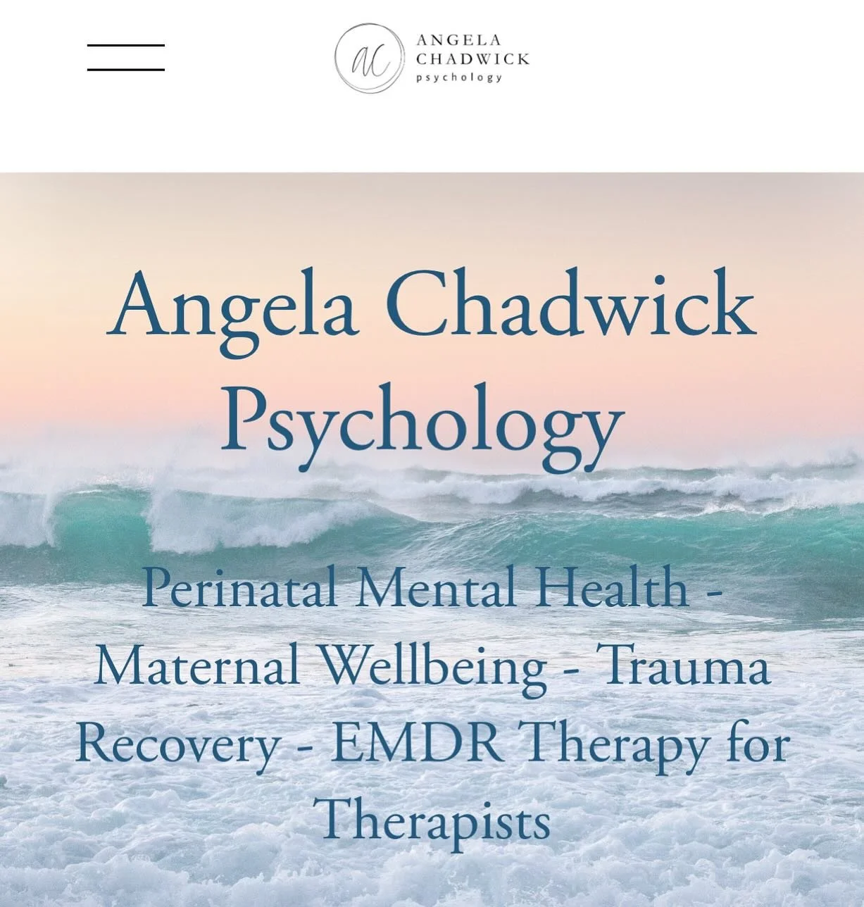 Website upgrade from the amazing Jessi @seedwebdesign - super grateful for your amazing work.