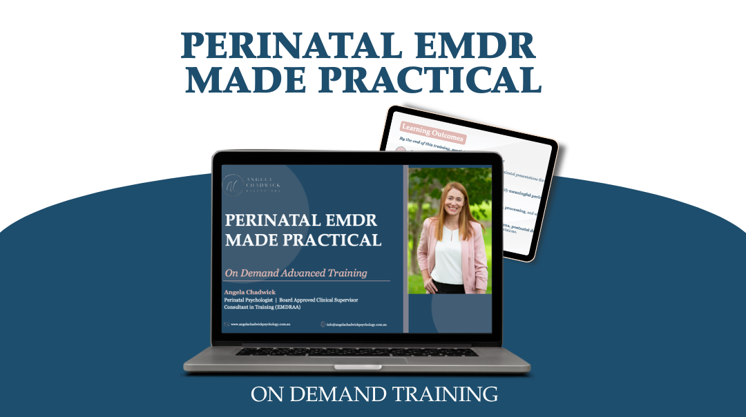 PERINATAL+EMDR++MADE+PRACTICAL+-+PRODUCT+IMAGE+%281%29.png