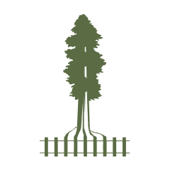 Sequoia Rail