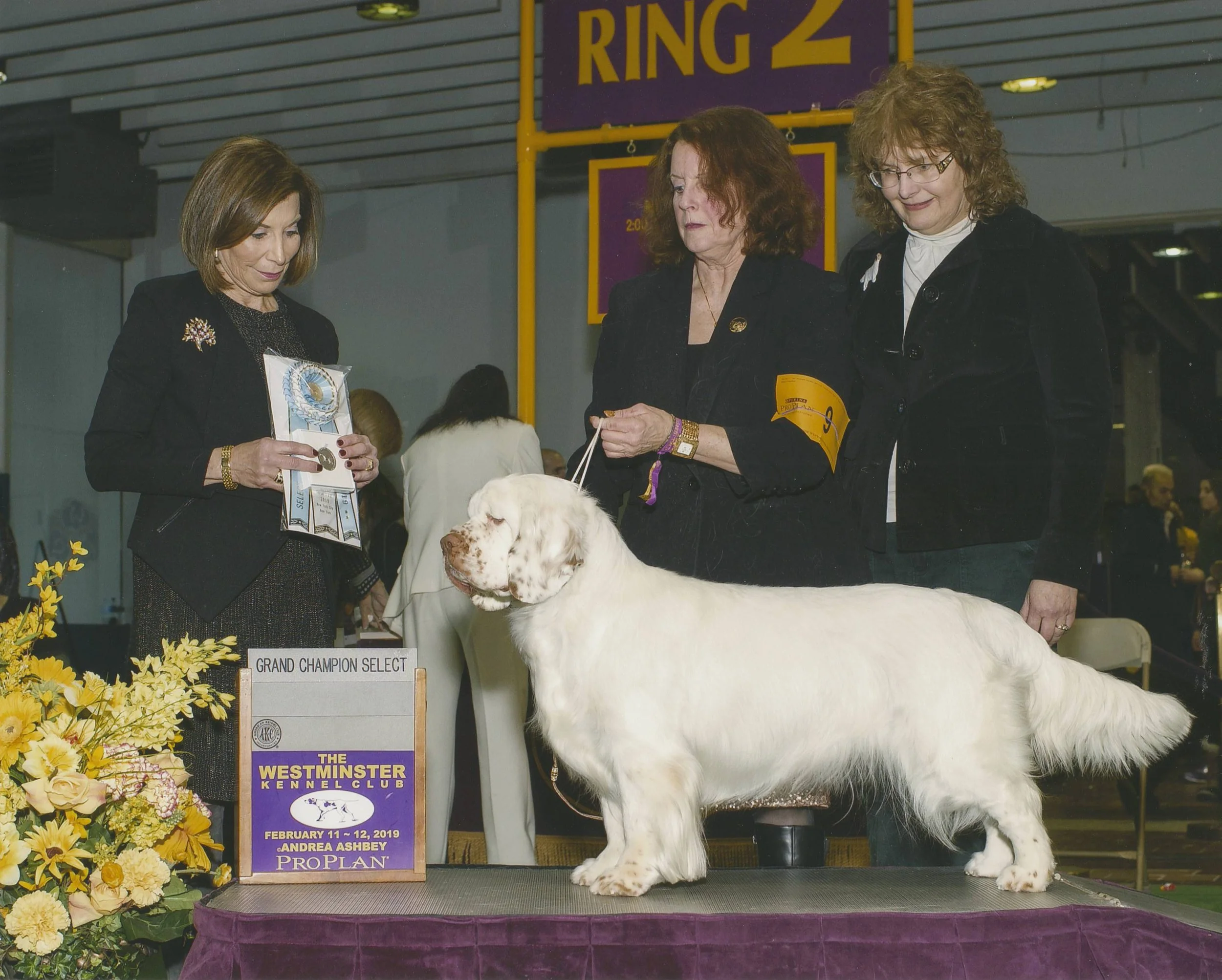Melody at Westminster.jpg