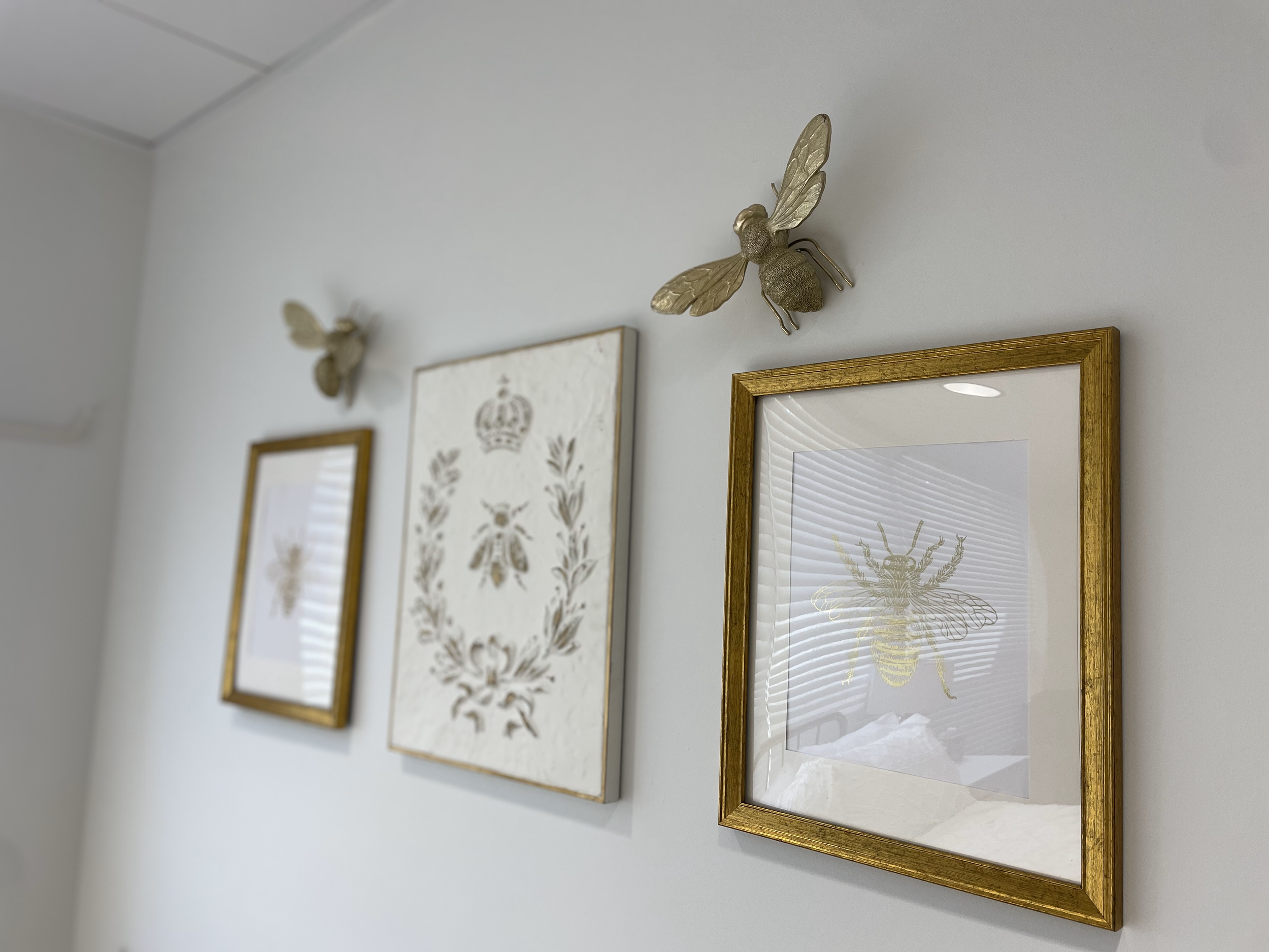 Decorative wall with framed bee images and metallic bee and fly ornaments.