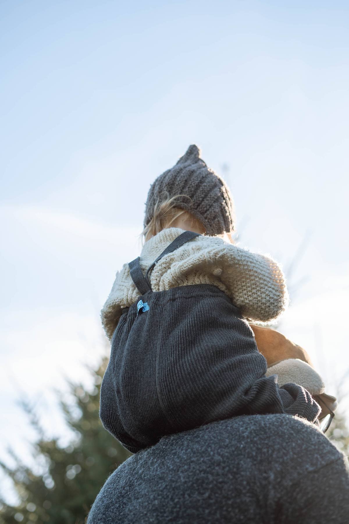 Howard Family Tree Farm Minis 