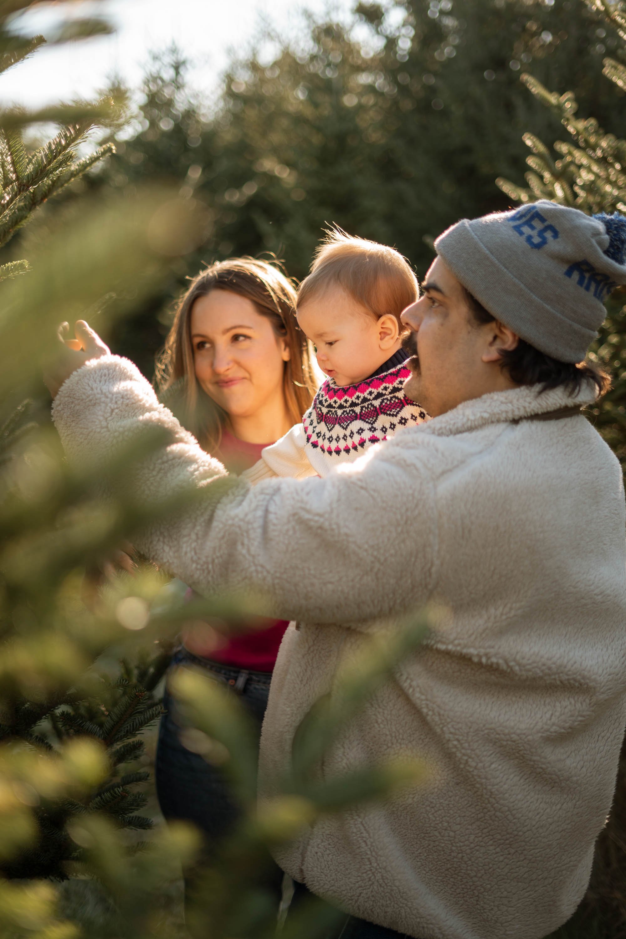Family choosing a Christmas tree in a forest, with parents holding a baby.