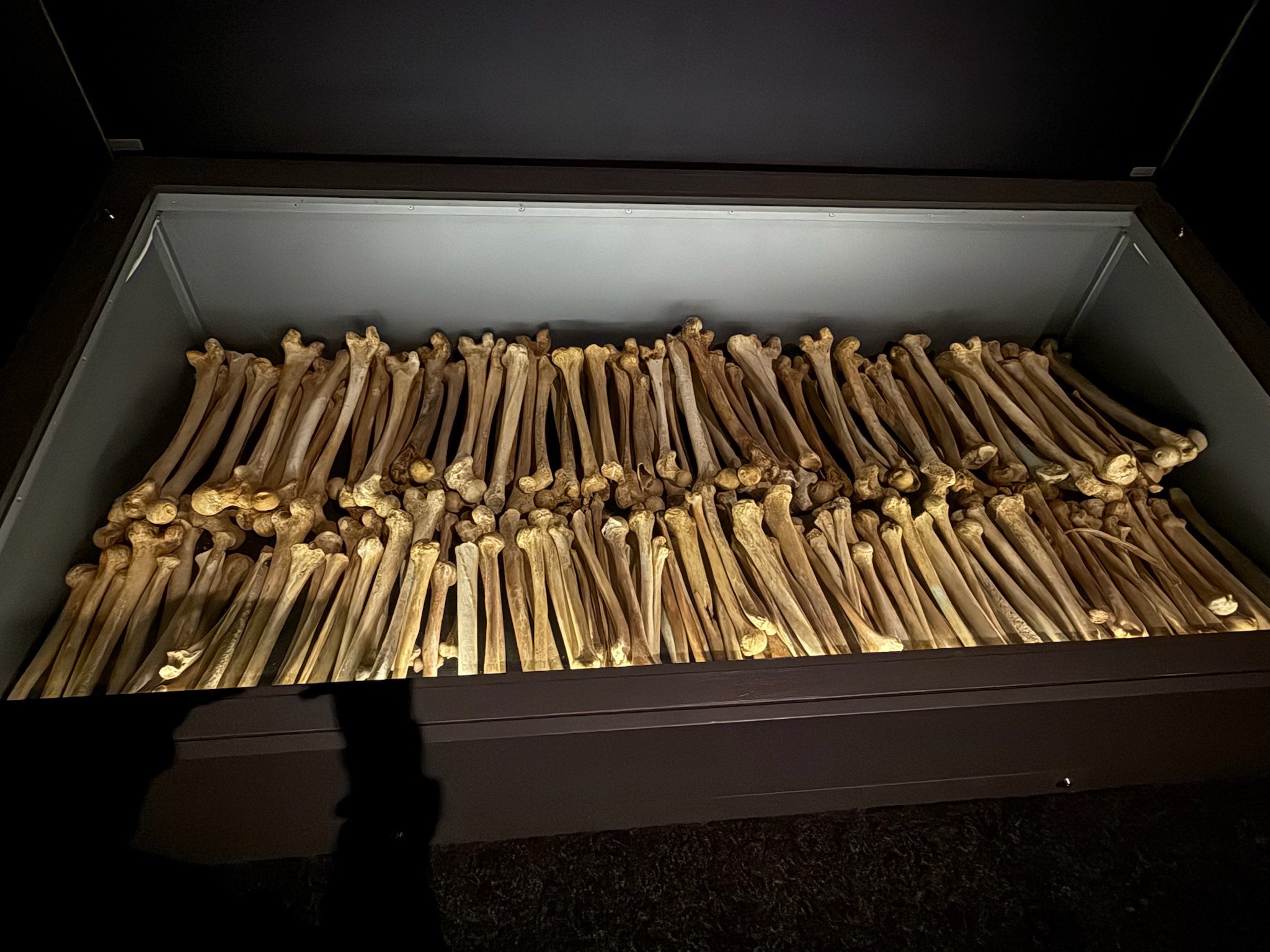 Rwandan Genocide Museum