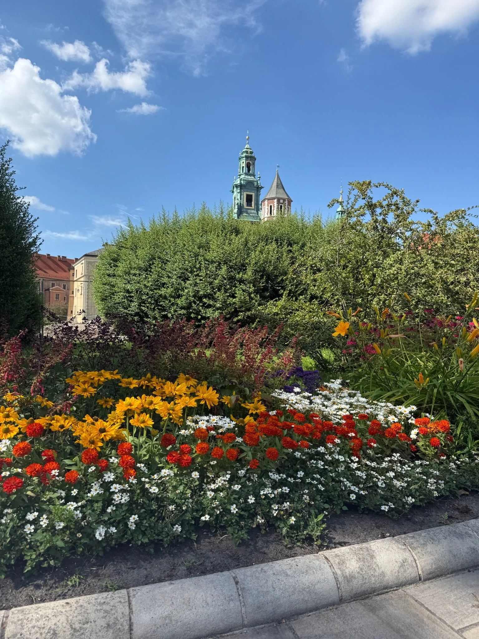 IMG_8660 2.jpeg