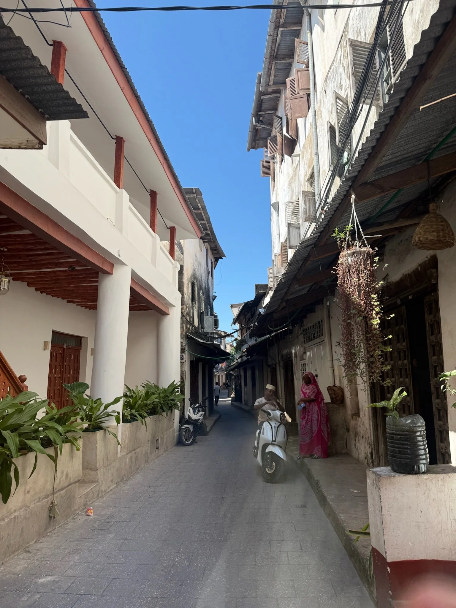 IMG_7533.jpeg