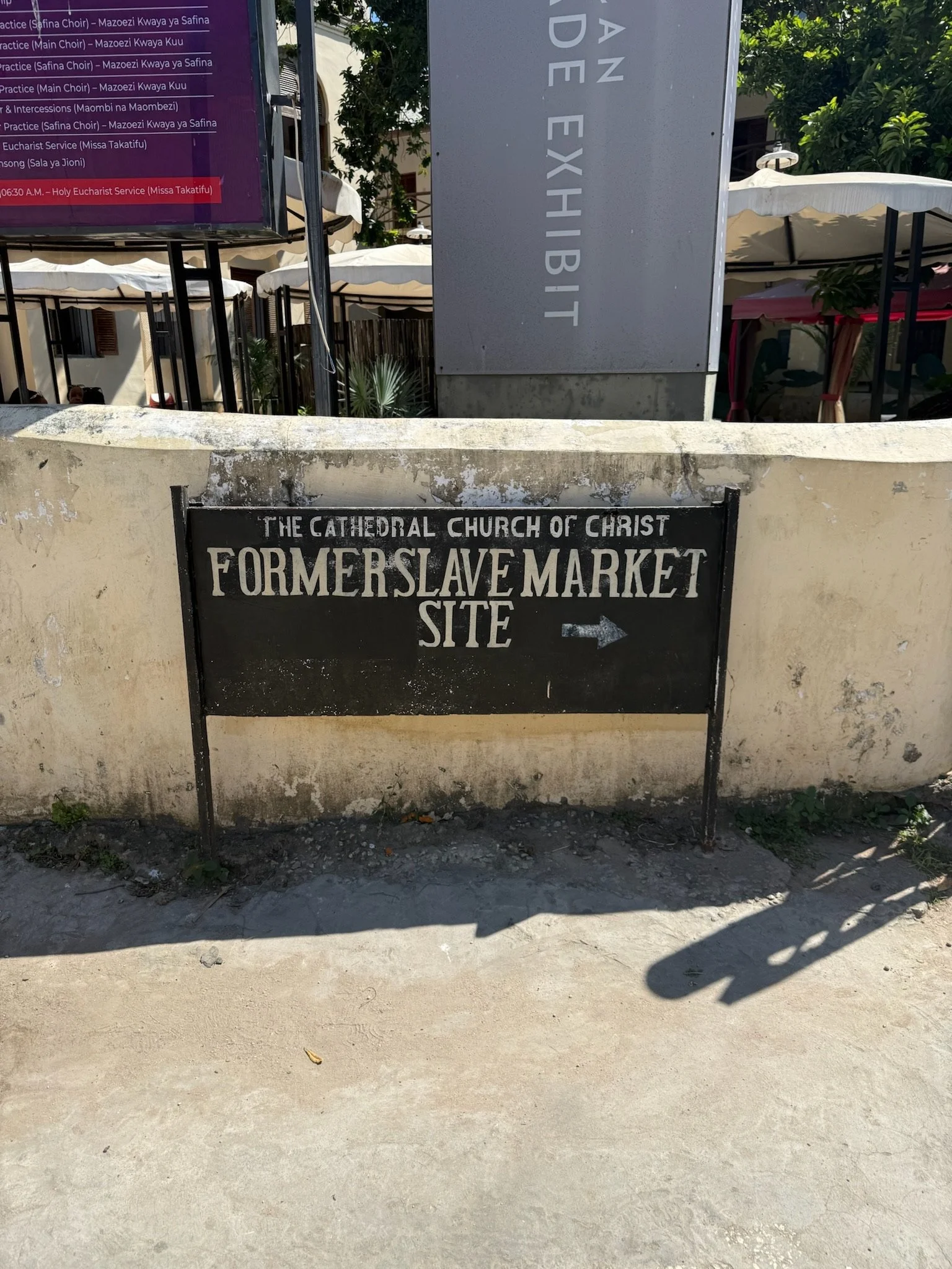 IMG_7536.jpeg