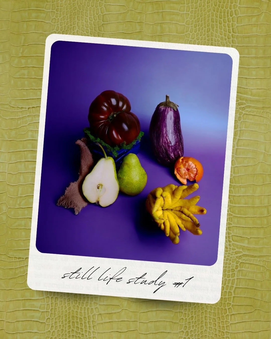 𝙎𝙩𝙞𝙡𝙡 𝙇𝙞𝙛𝙚 𝙎𝙩𝙪𝙙𝙮 #𝟏

𝘼 𝙨𝙩𝙪𝙙𝙮 𝙞𝙣 𝙤𝙗𝙨𝙚𝙧𝙫𝙖𝙩𝙞𝙤𝙣, 𝙝𝙖𝙣𝙙𝙡𝙞𝙣𝙜, 𝙖𝙣𝙙 𝙥𝙧𝙚𝙨𝙚𝙧𝙫𝙖𝙩𝙞𝙤𝙣.