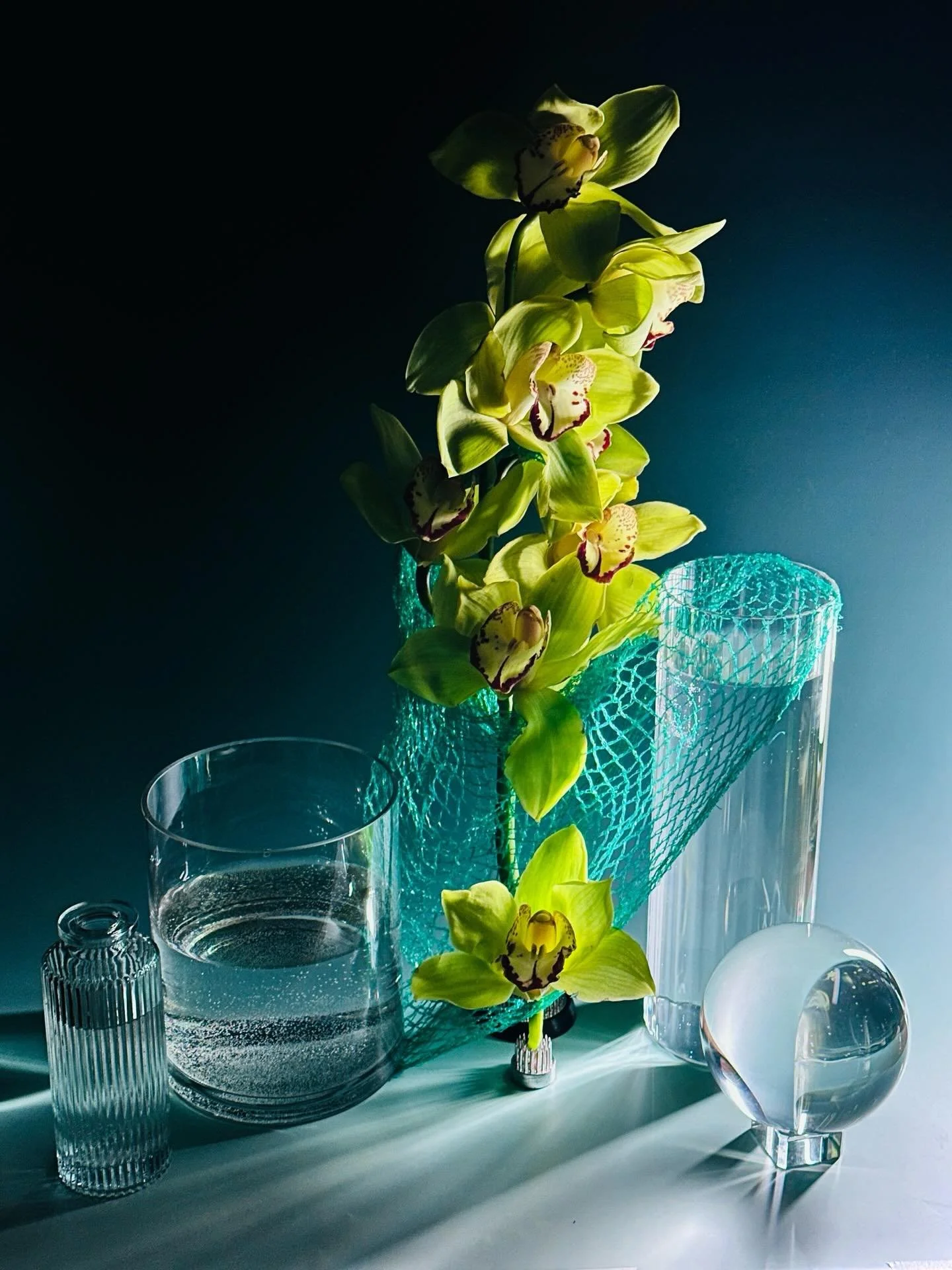 𝙊𝙧𝙘𝙝𝙞𝙙 𝙎𝙩𝙞𝙡𝙡 𝙇𝙞𝙛𝙚 𝙎𝙩𝙪𝙙𝙮 - 𝙘𝙤𝙡𝙤𝙧 𝙚𝙭𝙥𝙚𝙧𝙞𝙢𝙚𝙣𝙩𝙨 𝙞𝙣 𝙥𝙧𝙤𝙜𝙧𝙚𝙨𝙨, 𝙢𝙤𝙧𝙚 𝙫𝙚𝙧𝙨𝙞𝙤𝙣𝙨 𝙨𝙤𝙤𝙣!