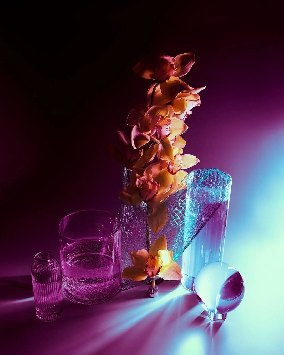 Still Life Study 2

I played with the white balance, exposure, and lighting position while shooting this set! 

Swipe ➡️ to see some fun long exposure shots!