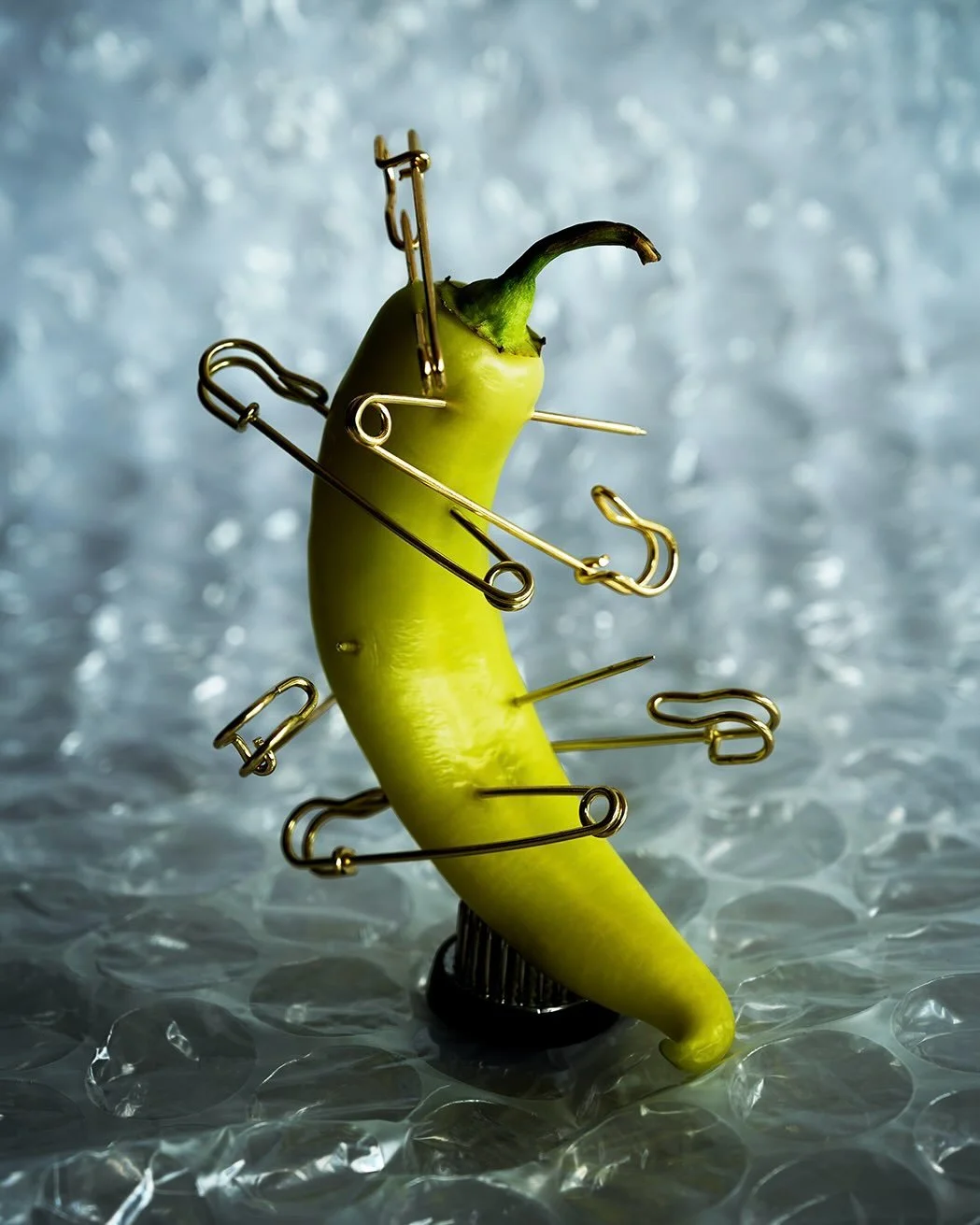 Study 3: 

A Hungarian wax pepper pierced with oversized gold safety pins. Held upright by a flower frog, shot in natural light on bubble wrap.

#stilllife #stilllifephotographer #grunge #pierced #safetypins