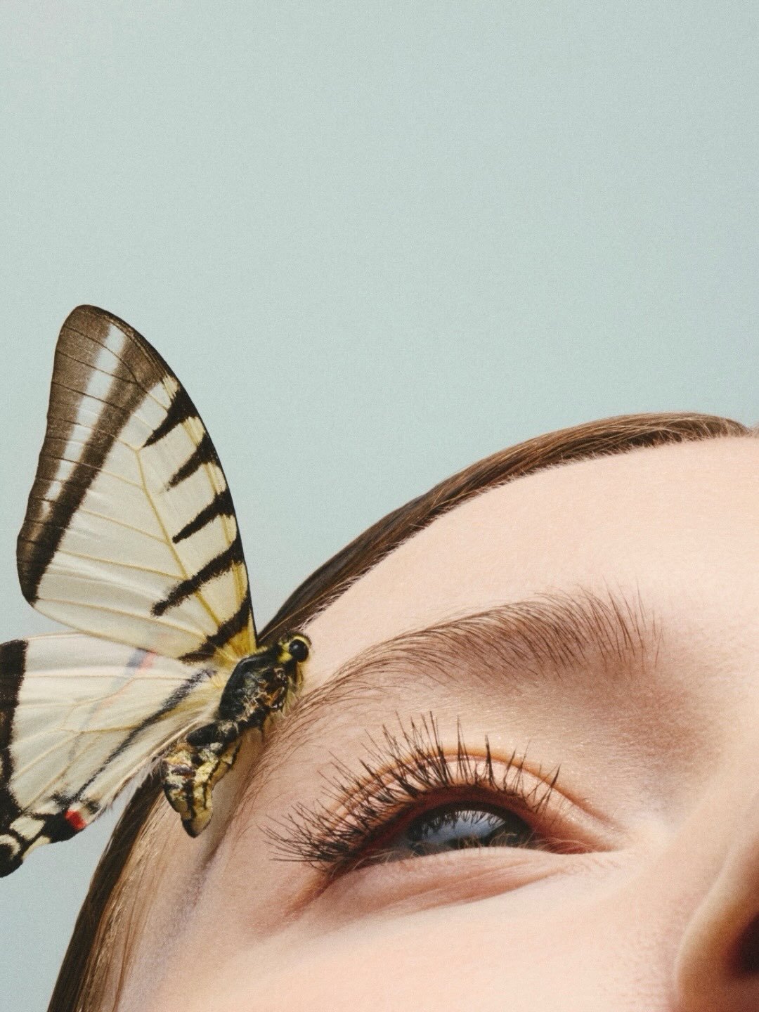&ldquo;&hellip;you will survive the transformation (over and over again) and you will fly.&rdquo;

- Jeanette LeBlanc

| The Team |

Creative agency: @thewindcreative 
Photographer: @mollyzacherphoto 
Creative Director: @vadaortiz 
Talent: @charlotte
