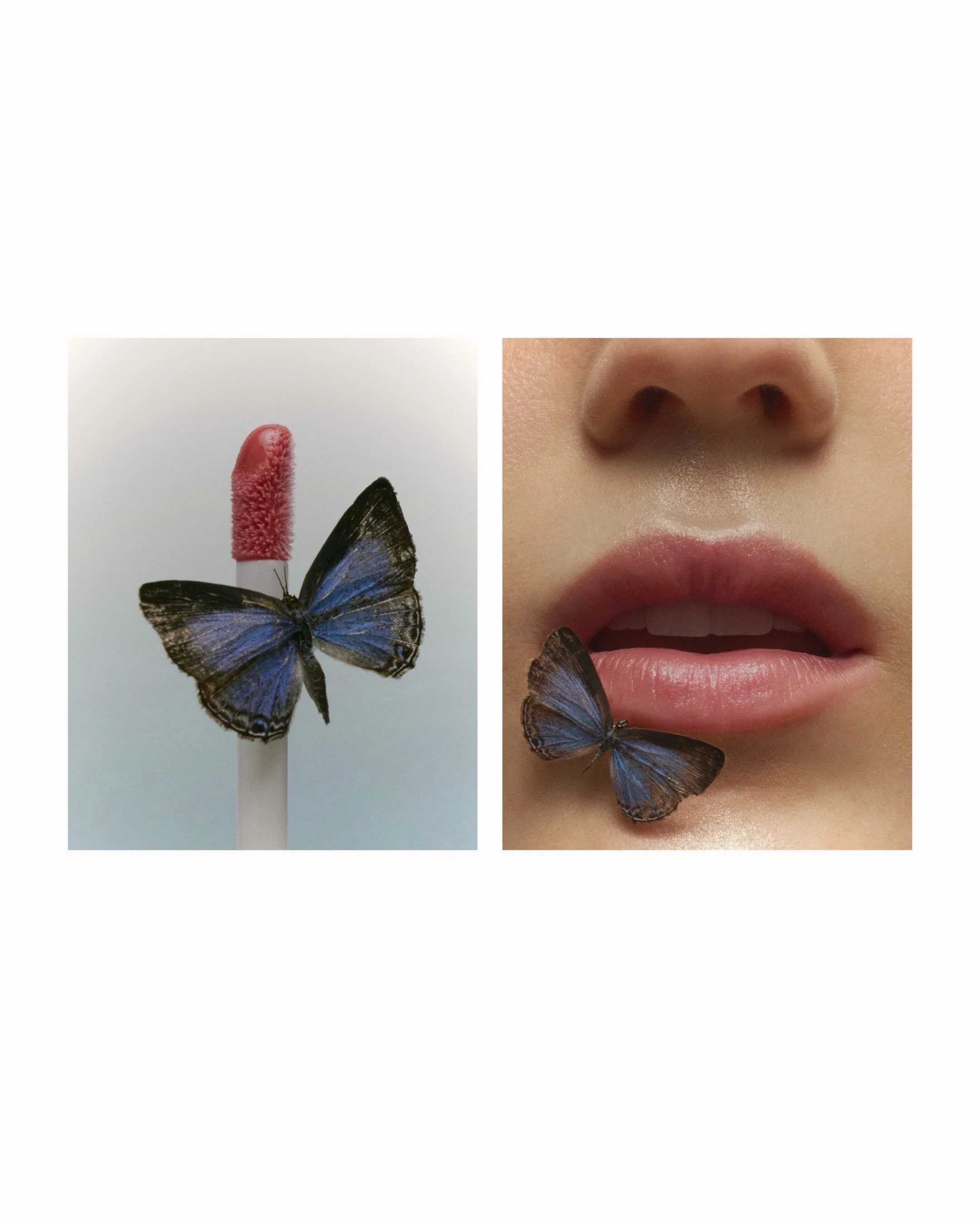 A little beauty, a little weirdness 🦋
Styling Merit products for a beauty test. Butterflies, beetles, distortion + makeup 

| The Team |

Creative agency: @thewindcreative 
Photographer: @mollyzacherphoto 
Creative Director: @vadaortiz 
Talent: @elo