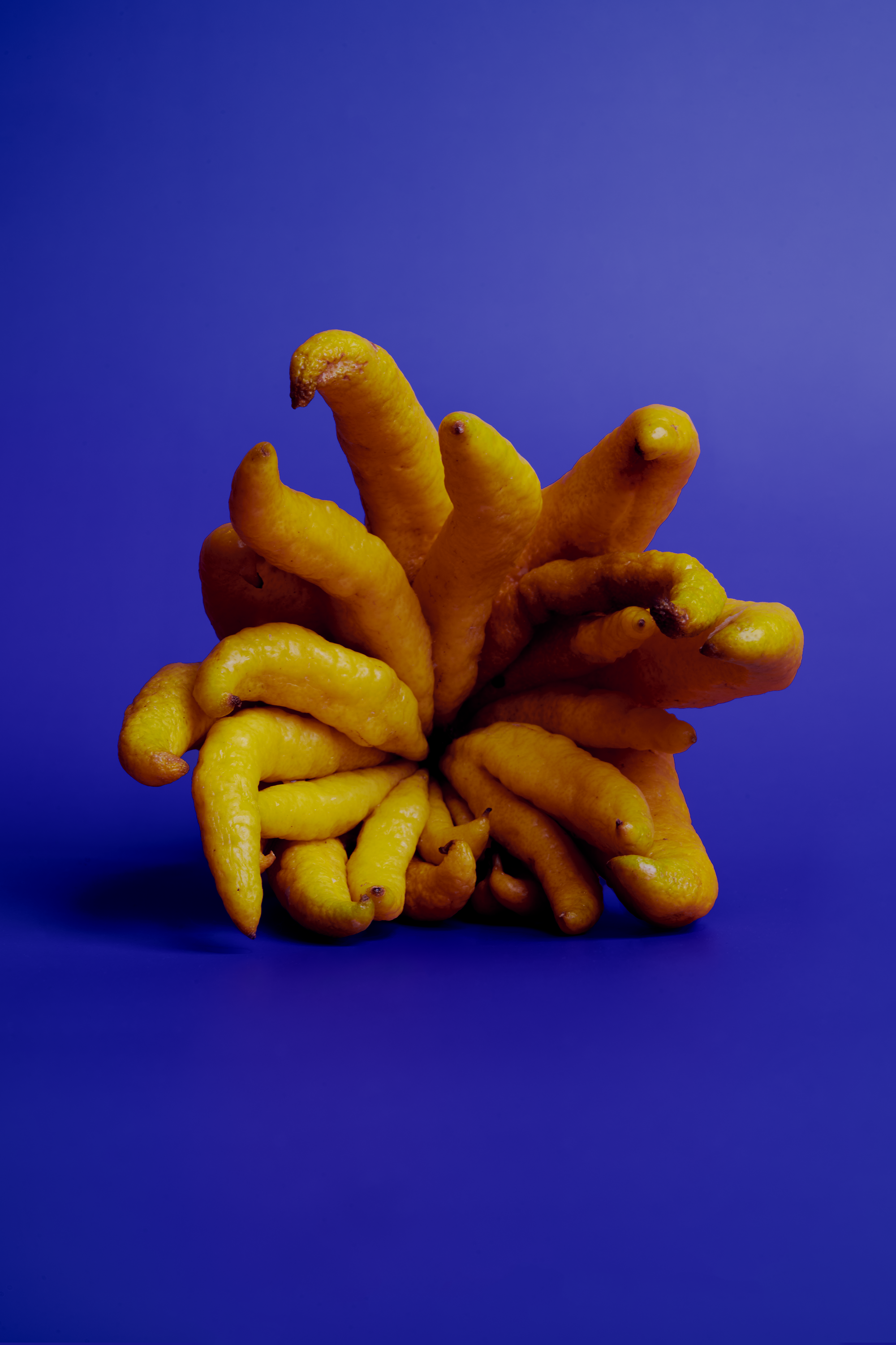 _DSC6661.png
