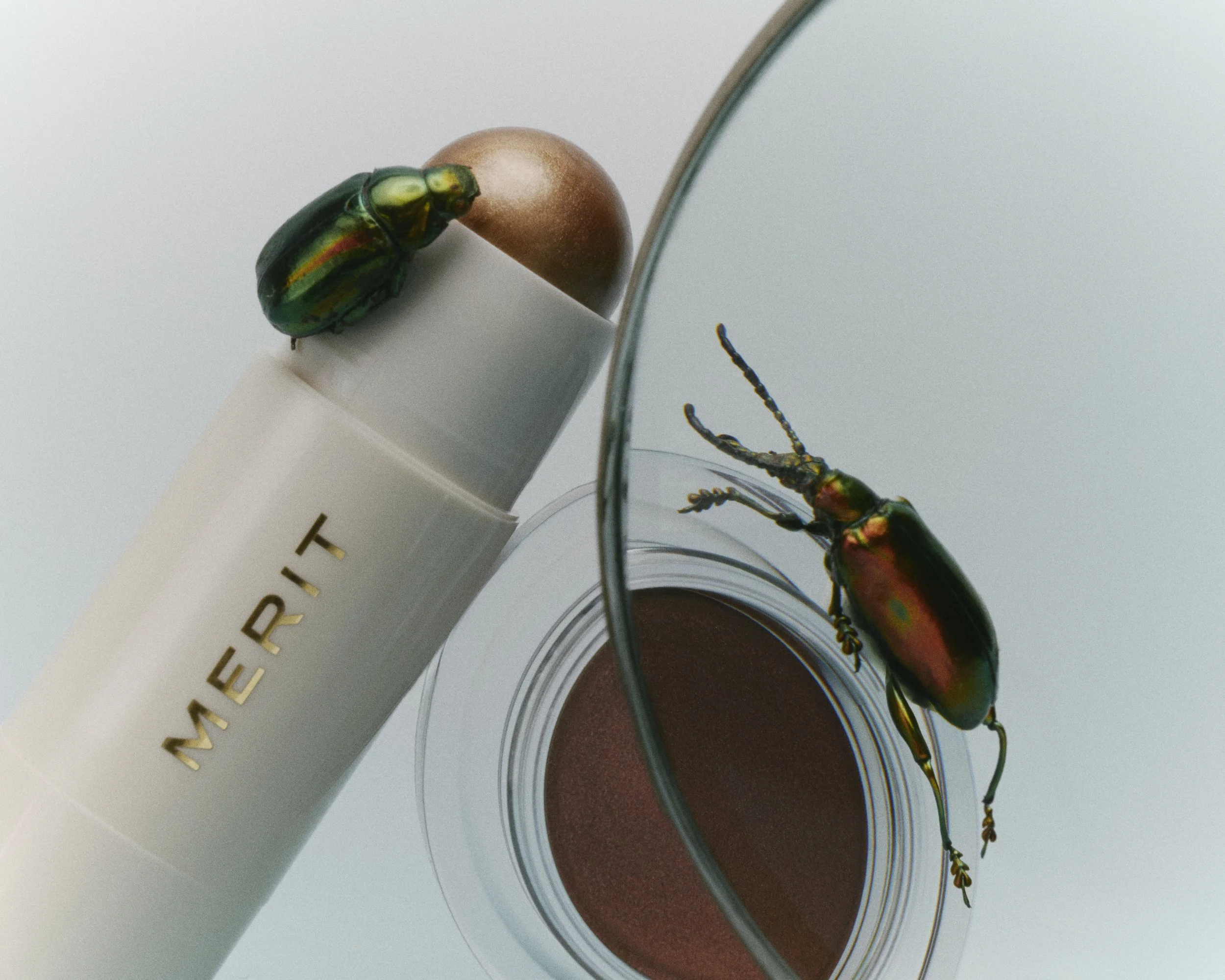 bugs_product_02_14670-web.jpg