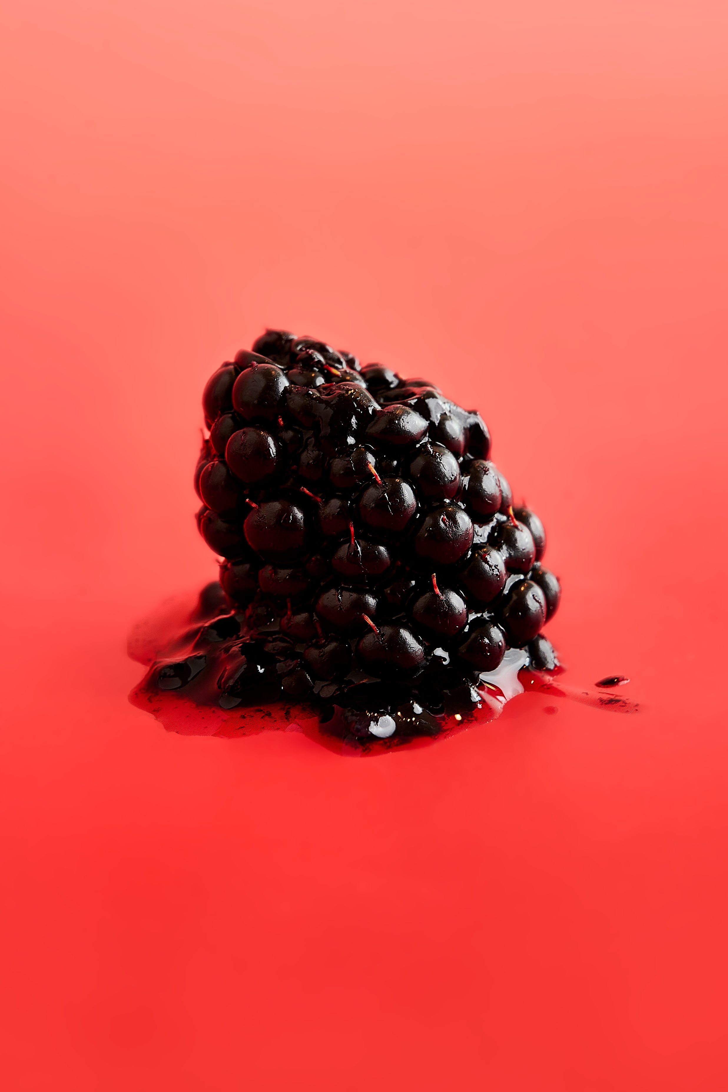 _DSC4178.png