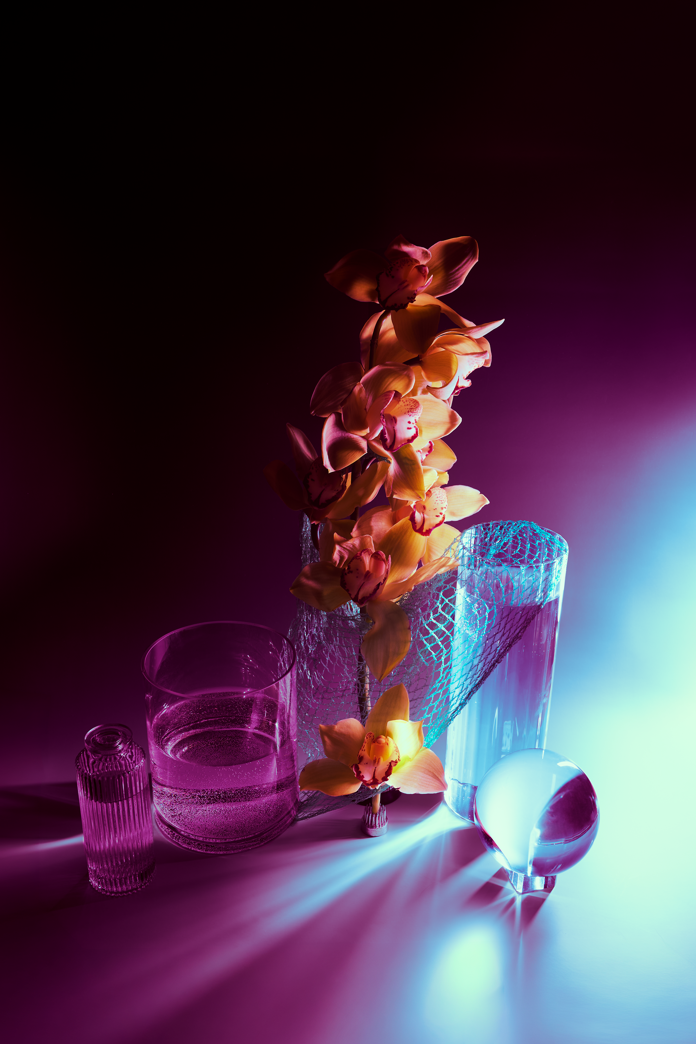 Study 2.1 (2x3).png