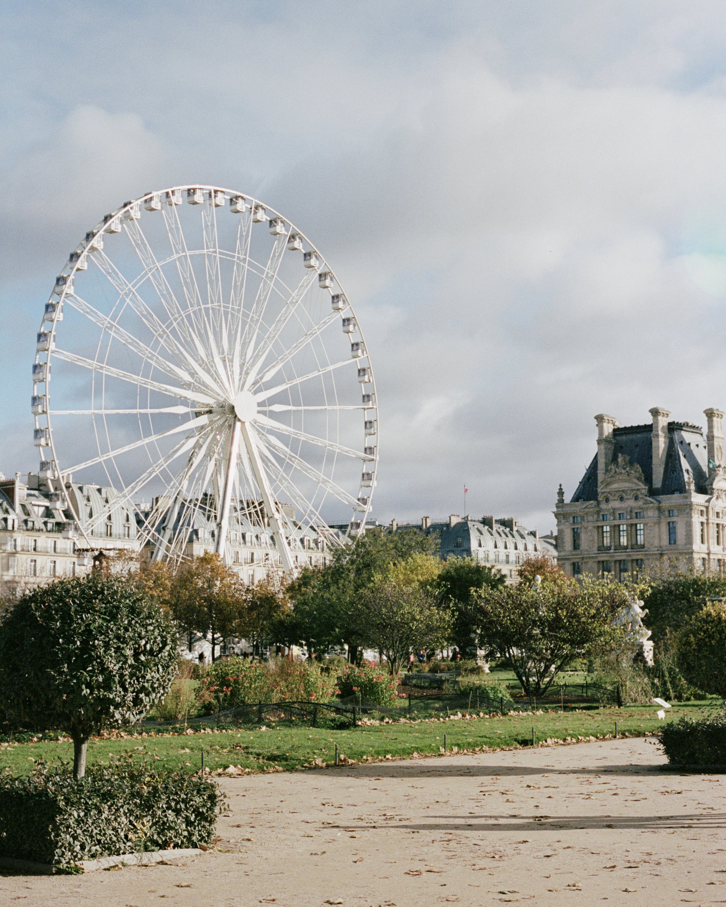 paris ferris wheel.jpg