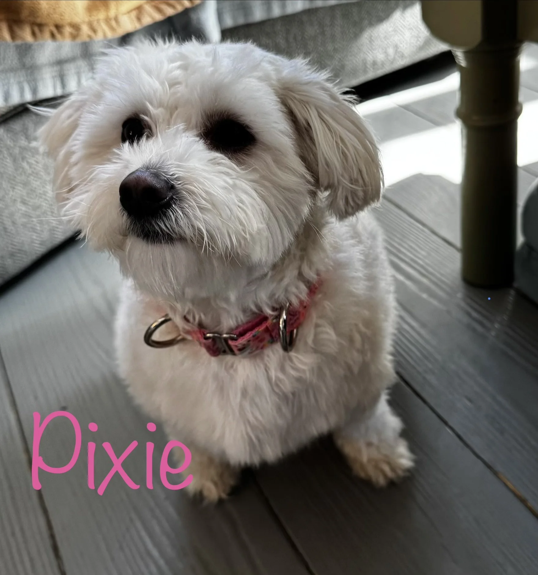 Pixie
