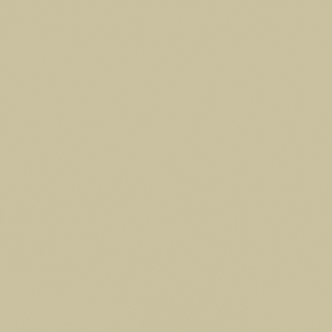 Untitled design (18).gif