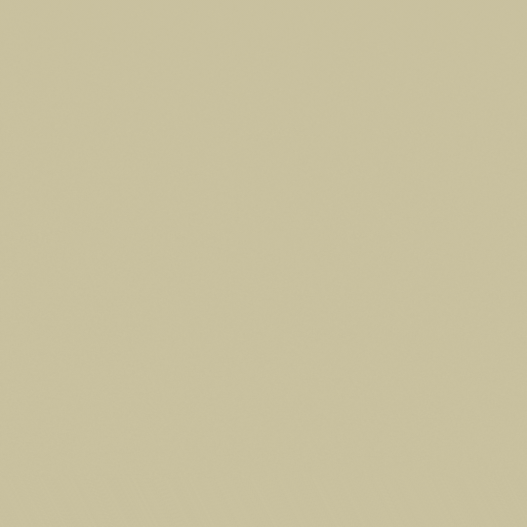 Untitled design (19).gif
