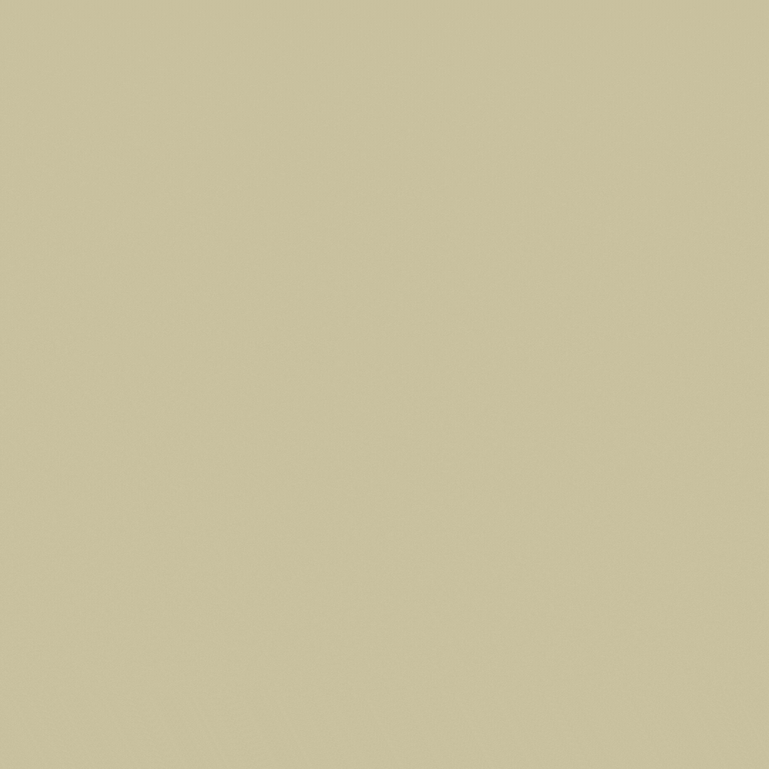 Untitled design (17).gif