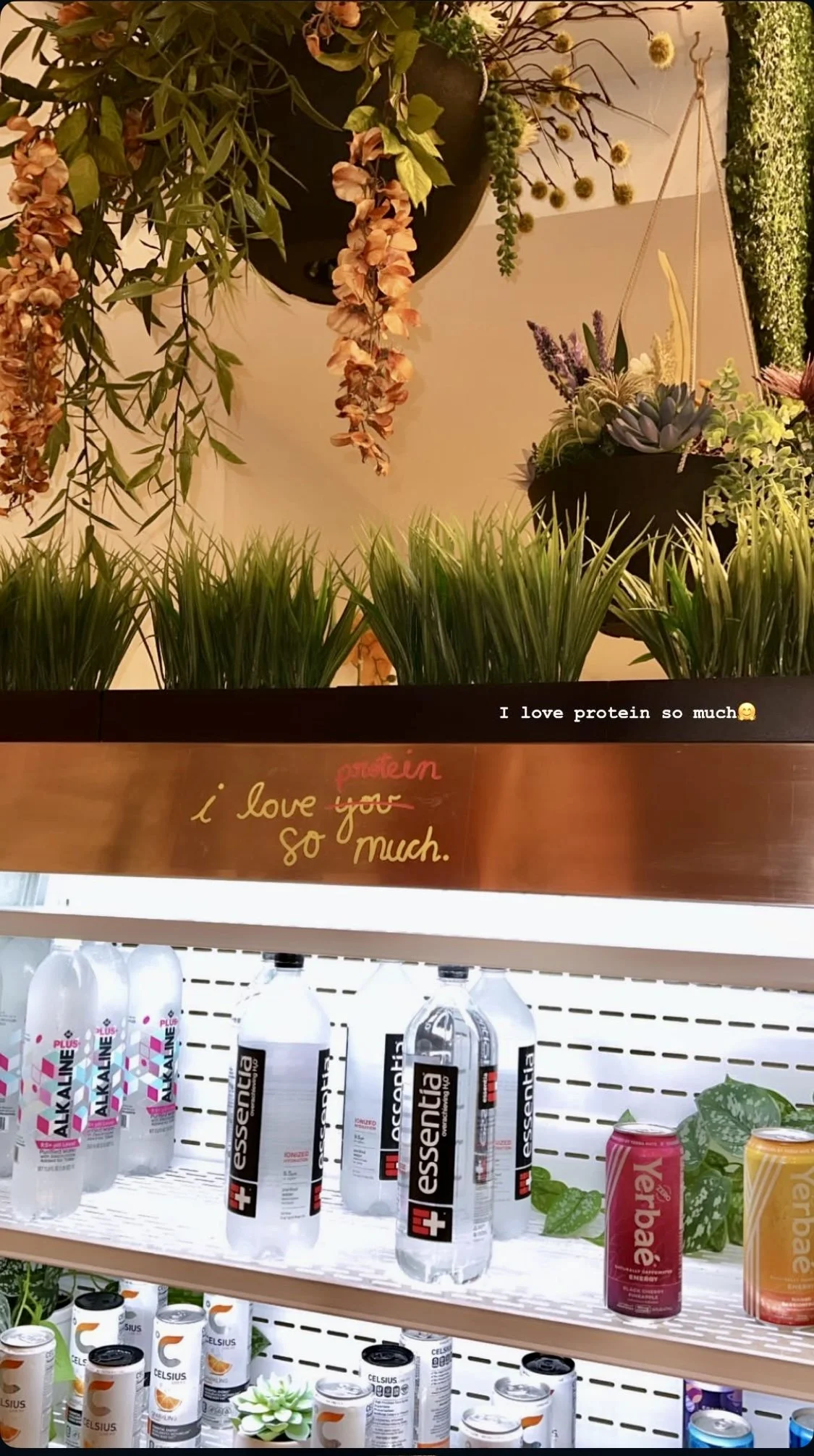 Nourish-3.jpg