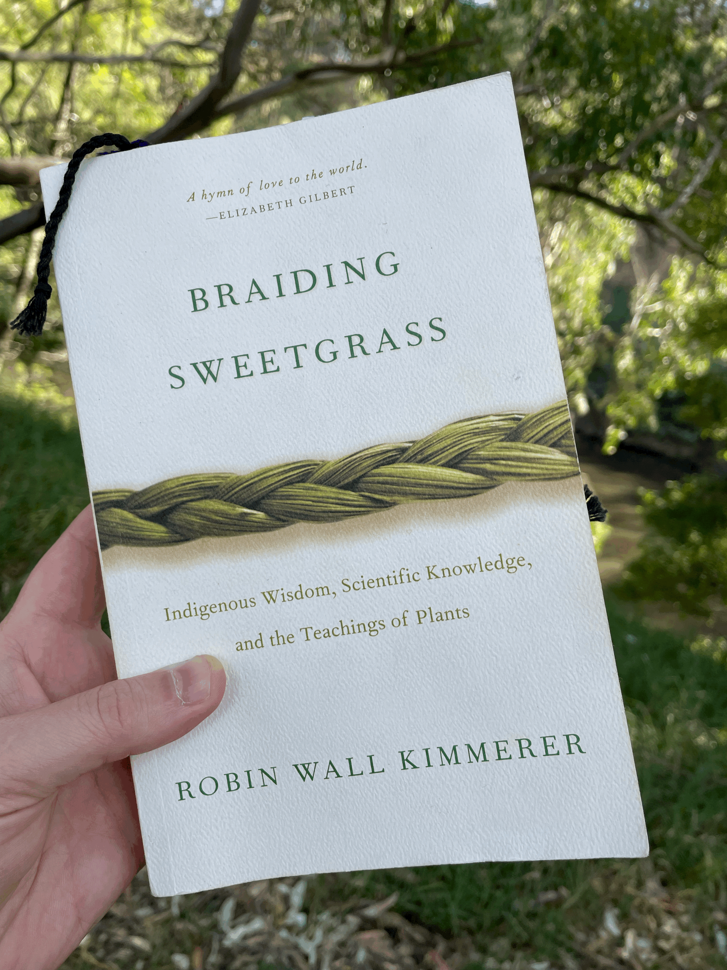 Braiding SweetGrass