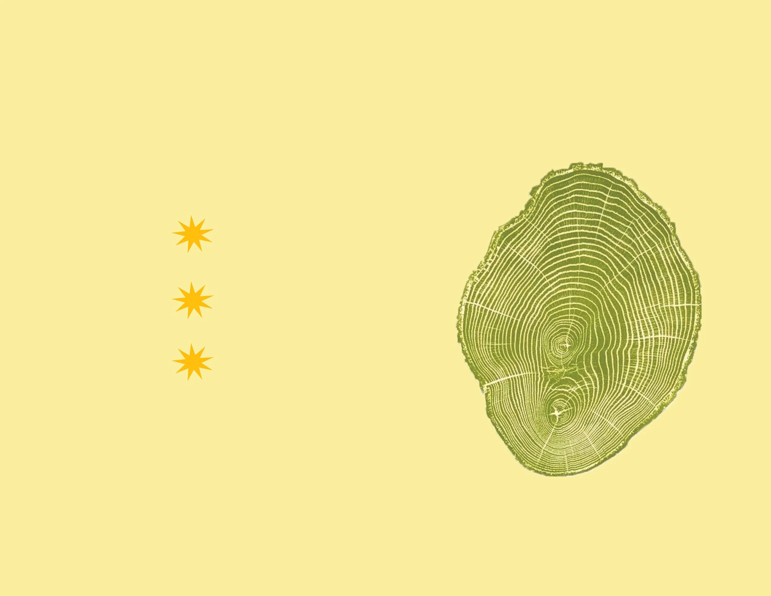 Project 5_Final Book122.jpg