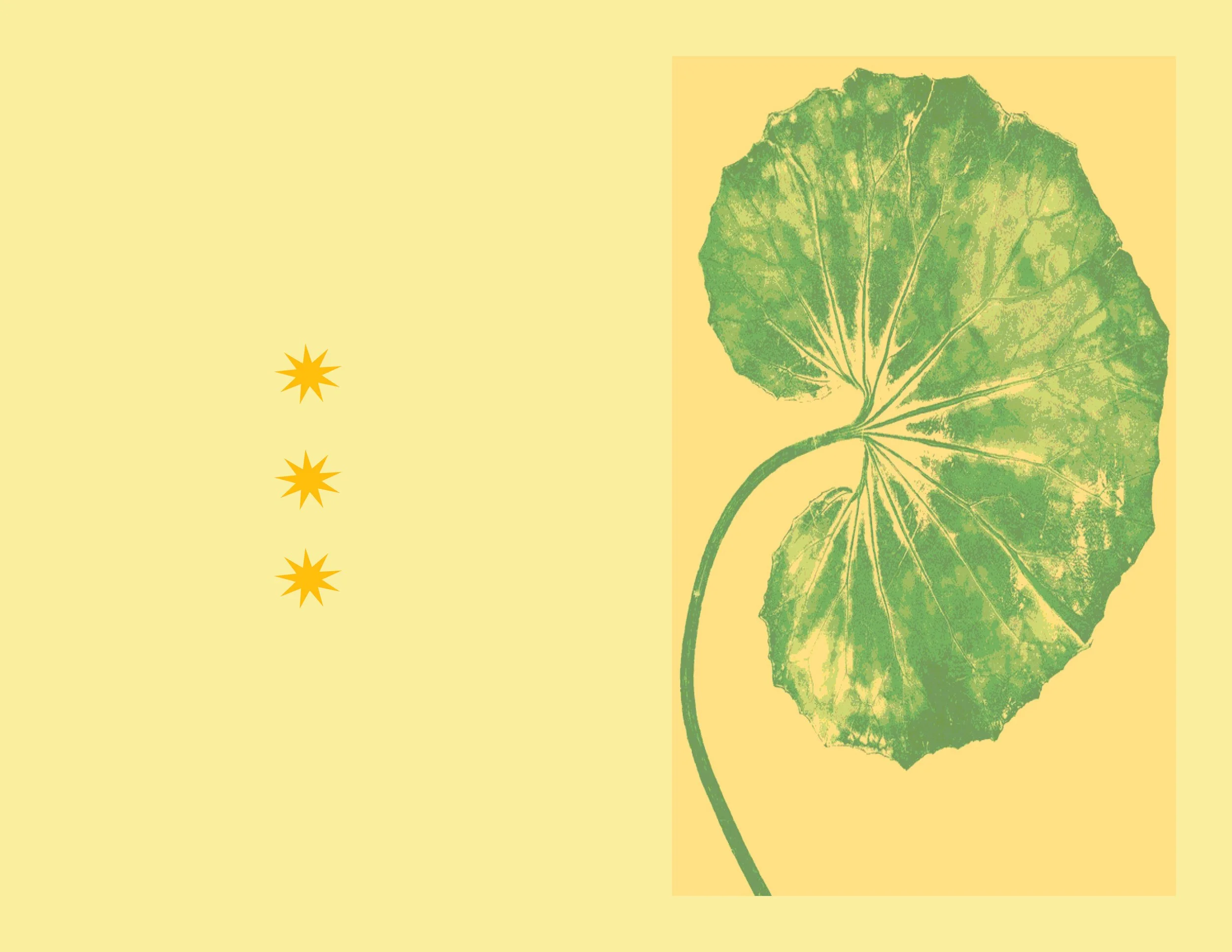 Project 5_Final Book125.jpg