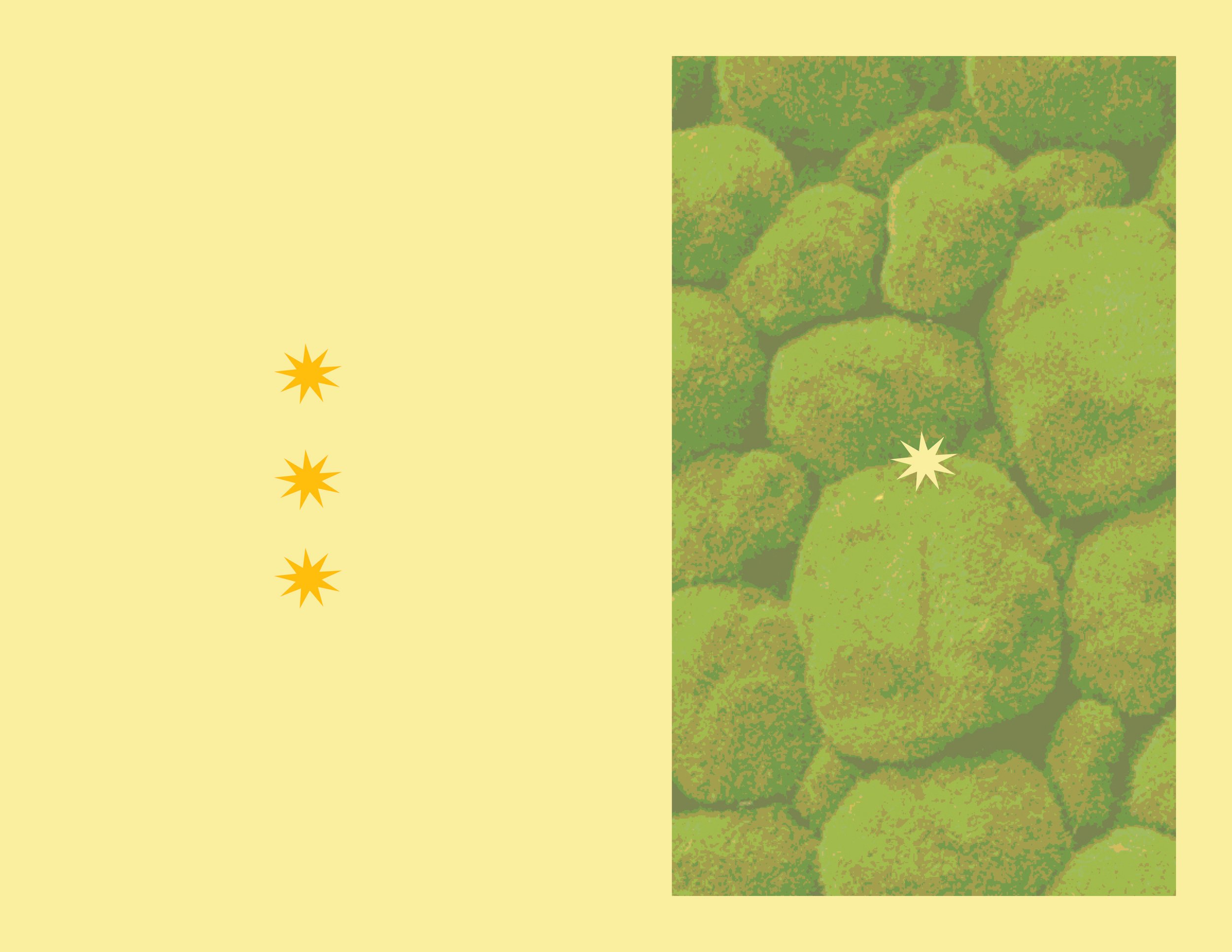 Project 5_Final Book126.jpg