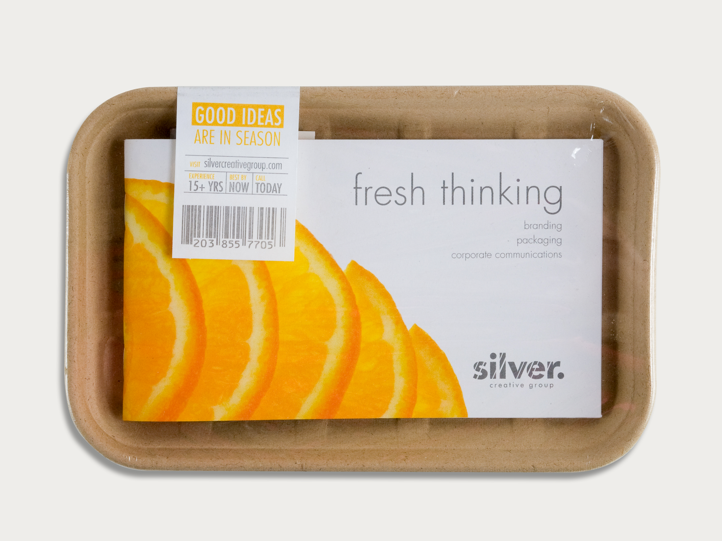 Silver-Detail.png