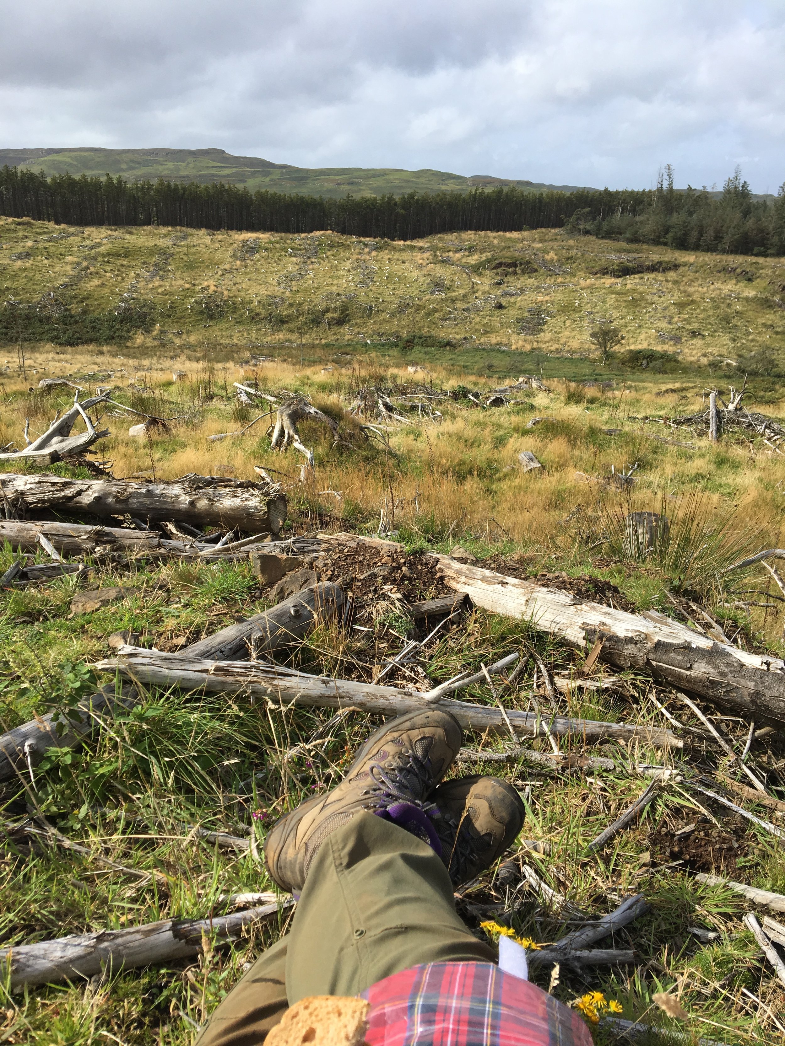 Wendy's view during lunch on site on the Isle of Mull in 2019. 
