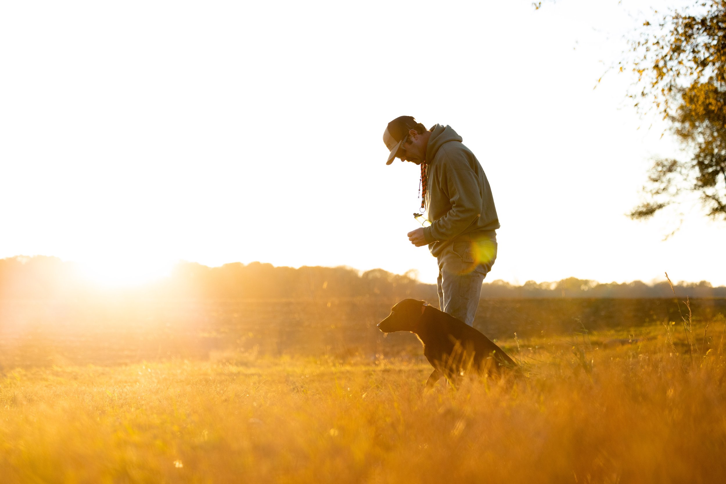 Gundogs_272.jpg