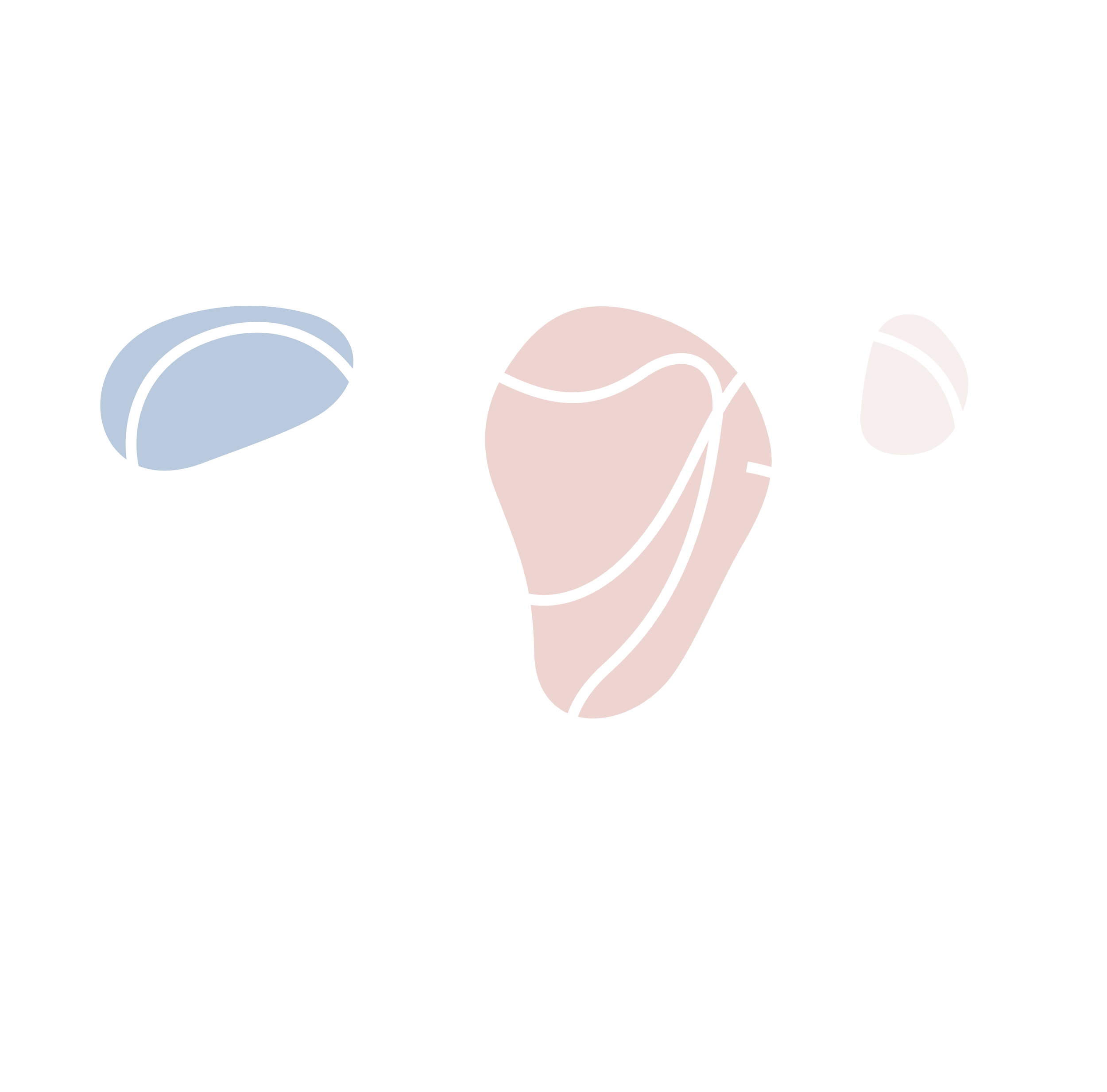 Dr Chris Arthur Gynaecology